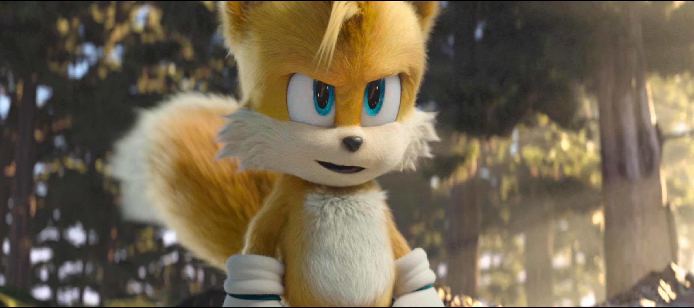 Tails revealing himself to Sonic in a moment of danger.
