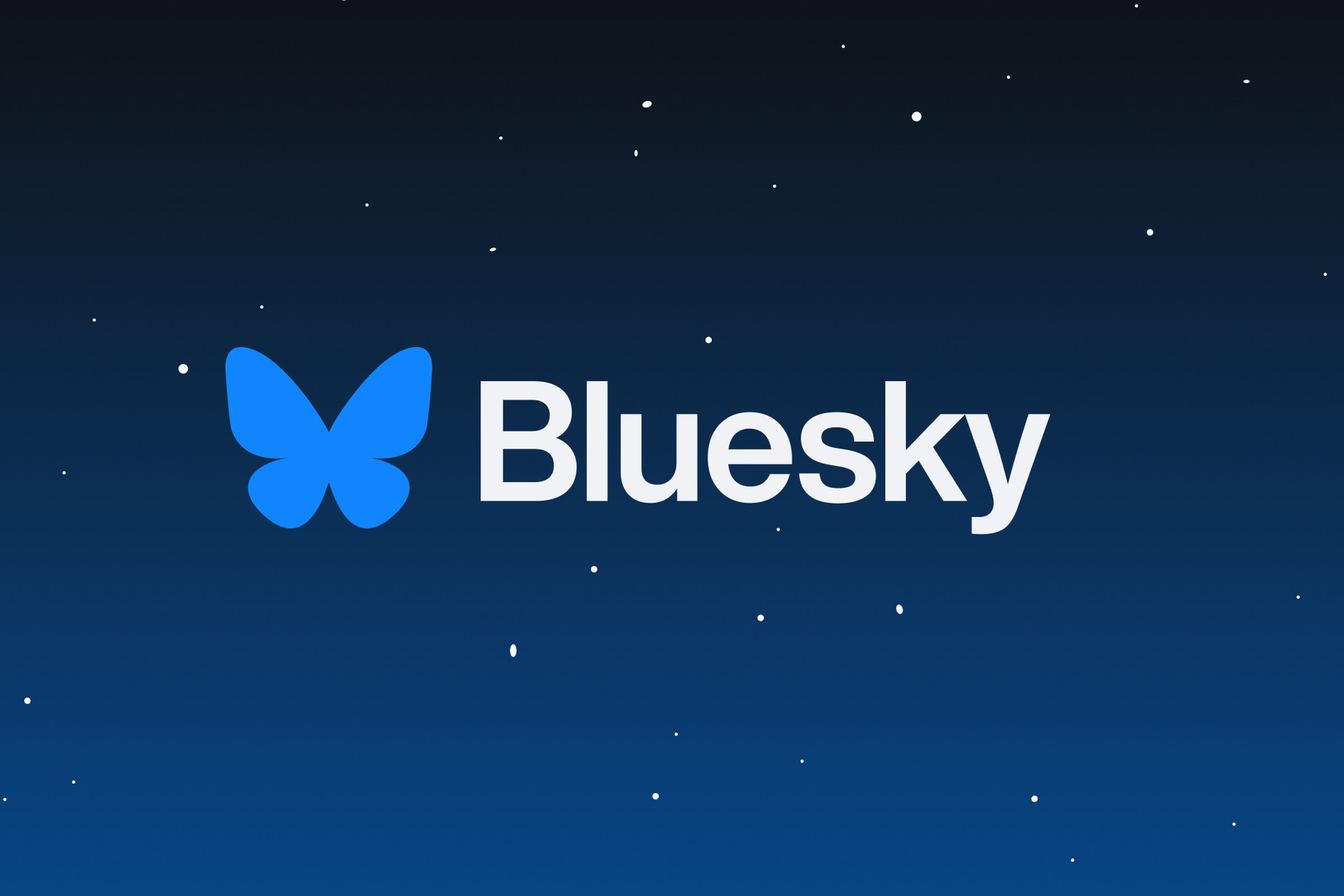 A graphic of the Bluesky logo.