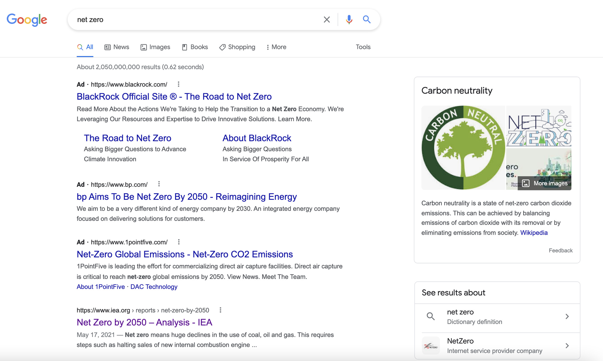 A screenshot taken of Google Search results for “net zero” on Thursday, January 6.