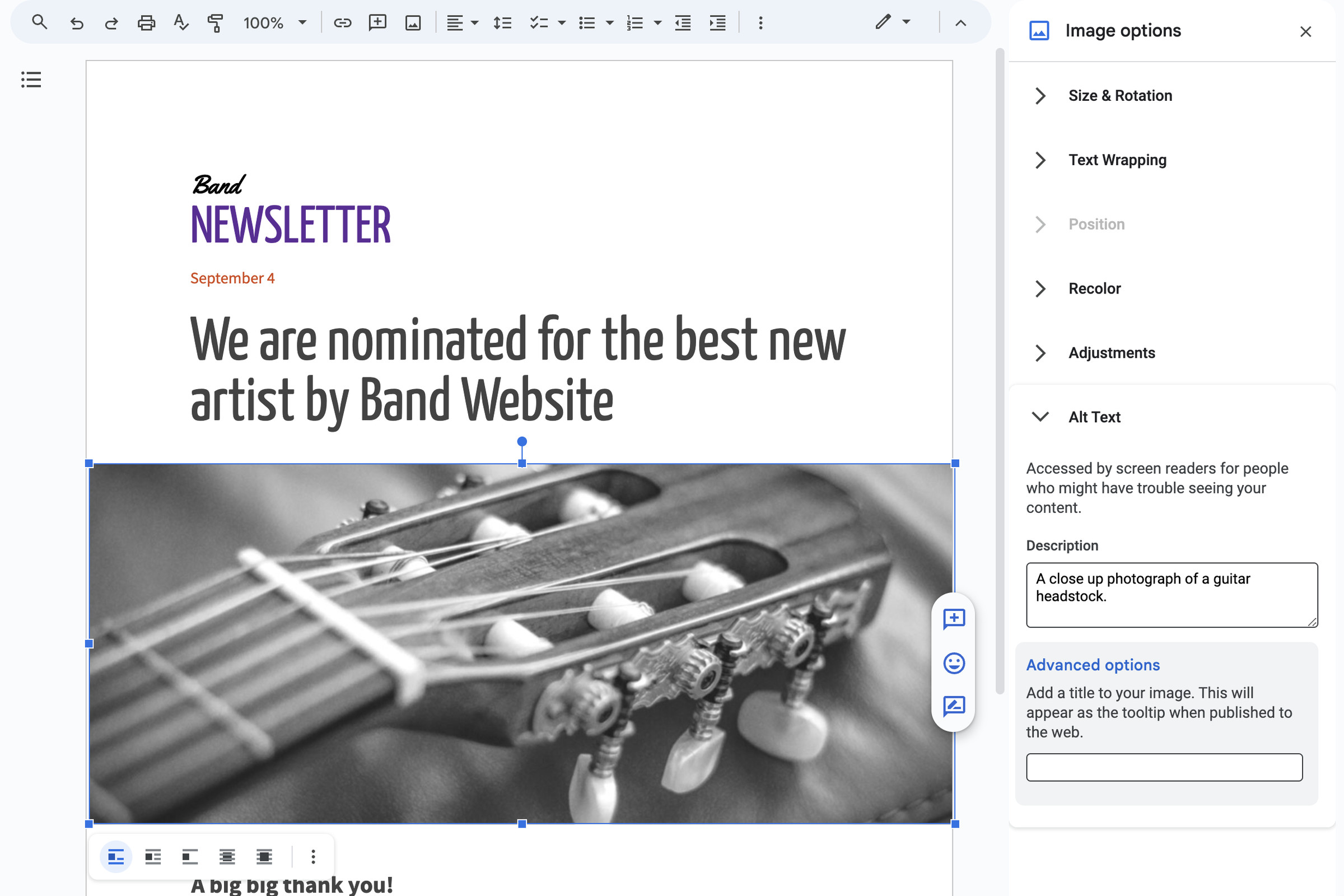 A screen shot sample of a Google Doc with an image of a guitar headstock. To the right, the “Image options” sidebar shows Alt Text as the fifth option, with a description of what alt text is for, and a box for entering details about the image.