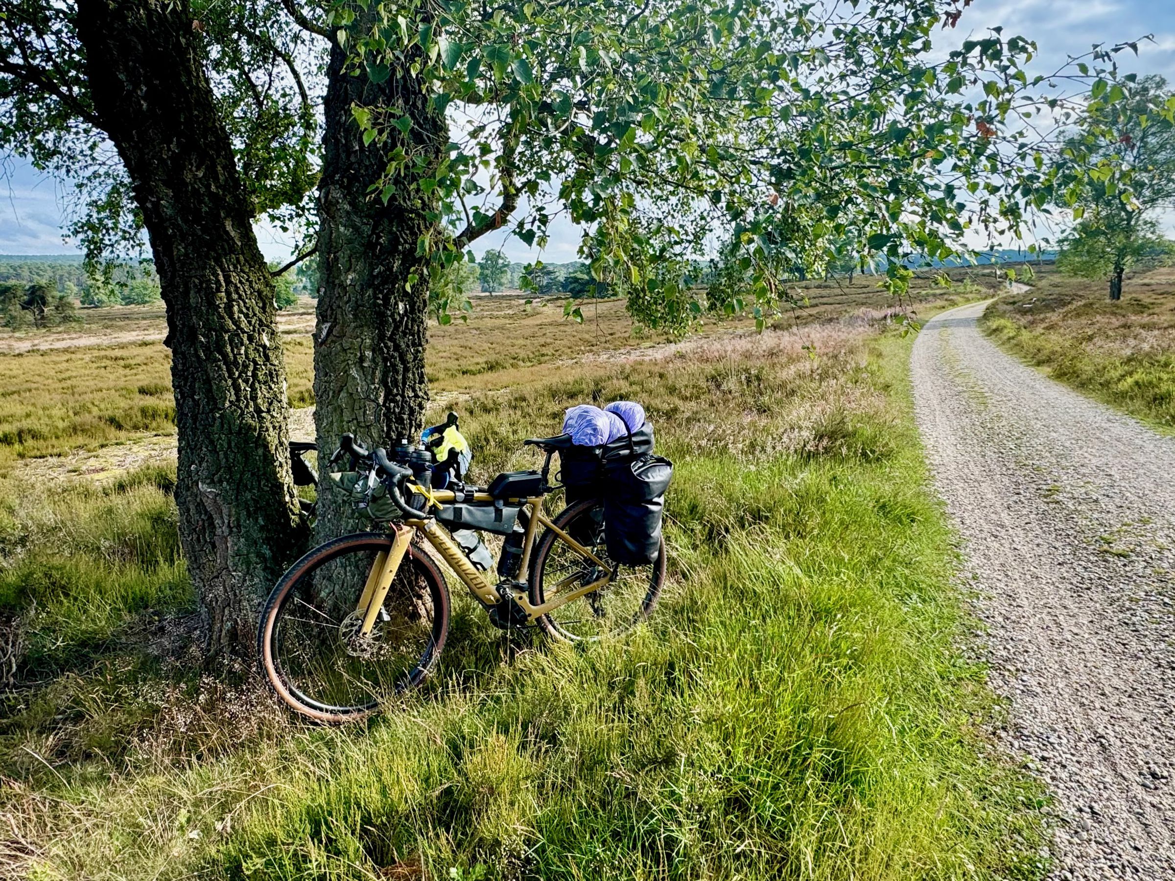 A bike loaded with bikepacking bags and gear leans against a tree in a wide-open Dutch landscape as a gravel road winds into the distance.