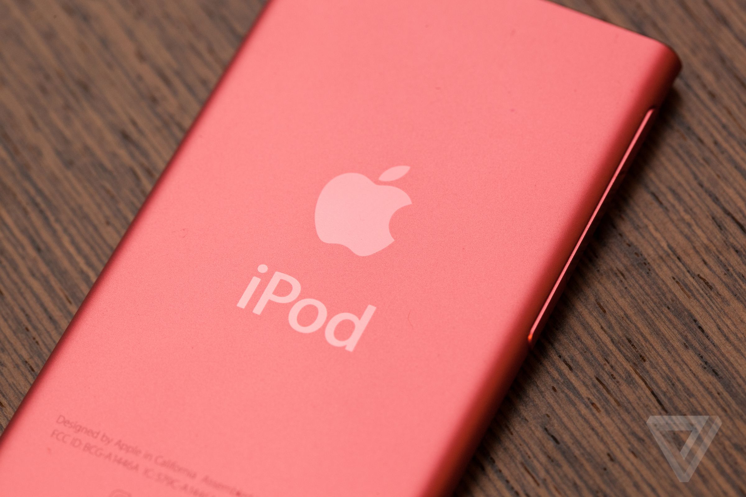 The back of a seventh-generation iPod Nano.