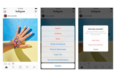Instagram now lets you mute your friends - The Verge