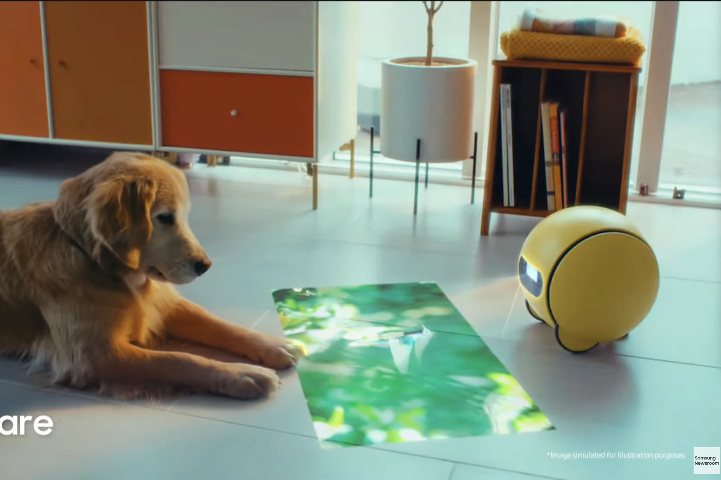 A picture of Ballie, which is small, yellow, and round, projecting an image on the floor in front of a golden retriever.