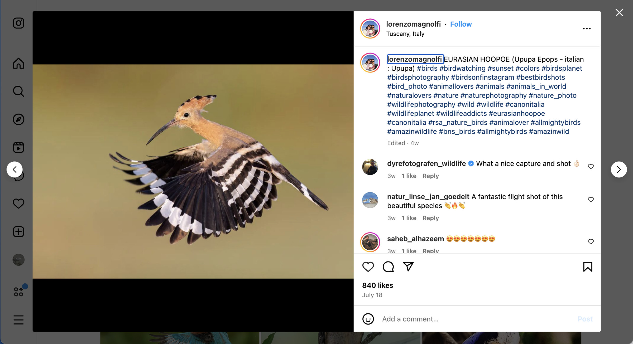 Photo of a strange tan and black bird in flight, with comments on the right side of the photo.