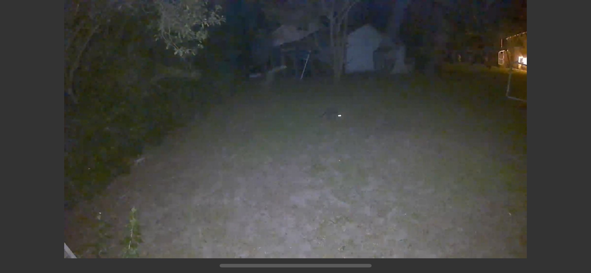 Arlo Go 2 nighttime footage with spotlight (triggered by a raccoon that you can just make out).