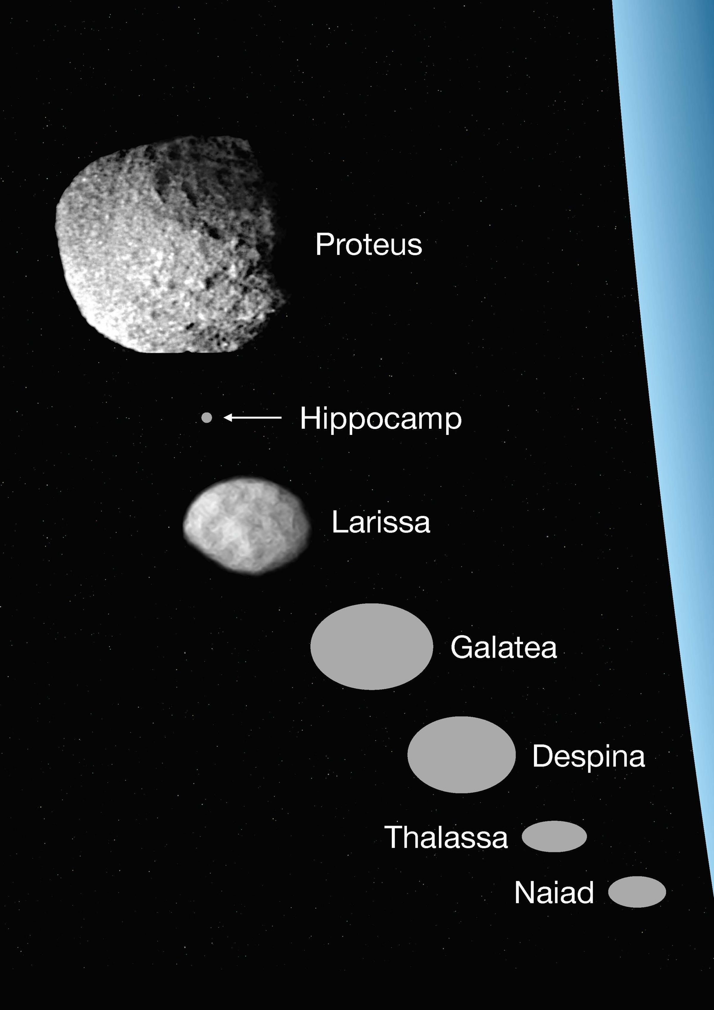Relative size comparisons of Neptune’s moons, including Hippocamp.