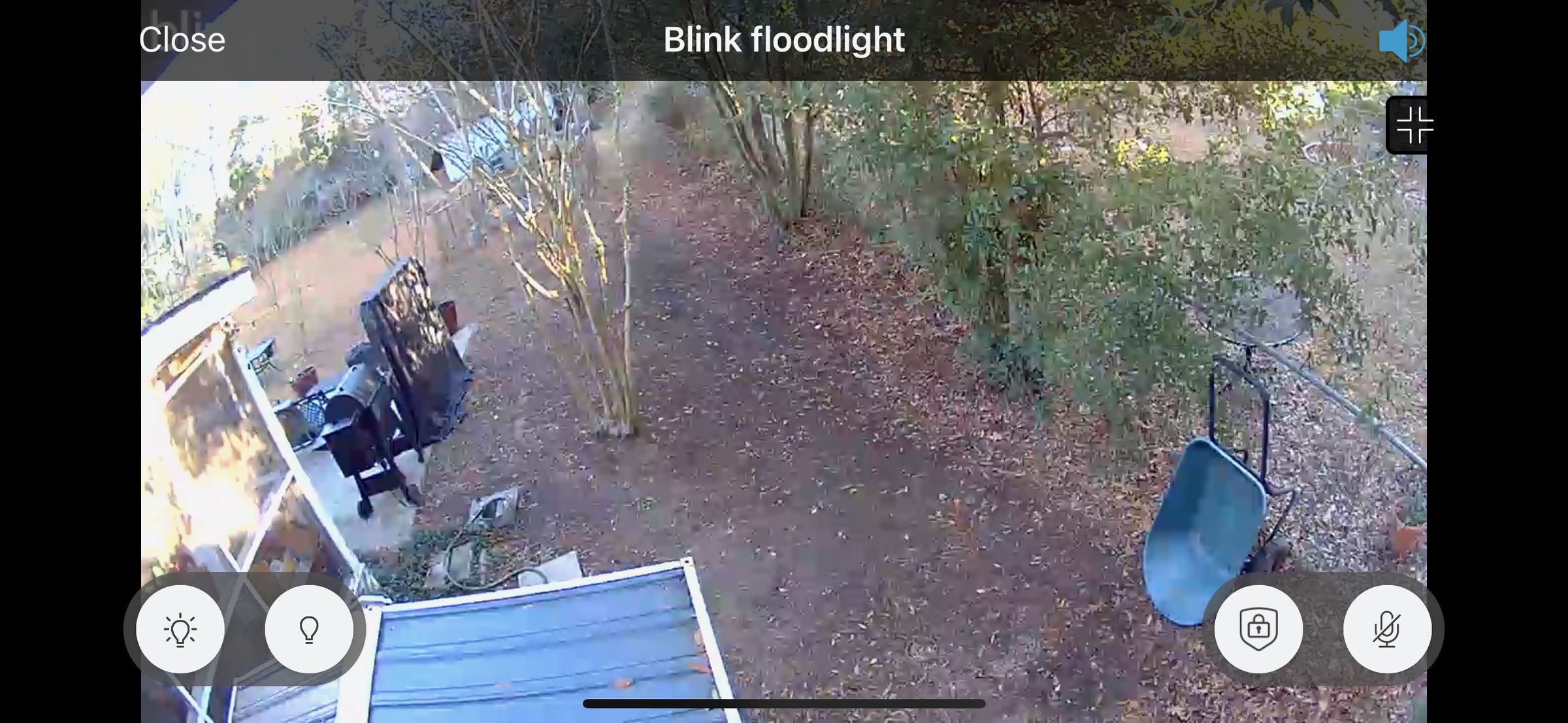 The Blink loses quality in the distance and has a short range of motion detection, but it’s clear close up and shows faces well during the day and at night.