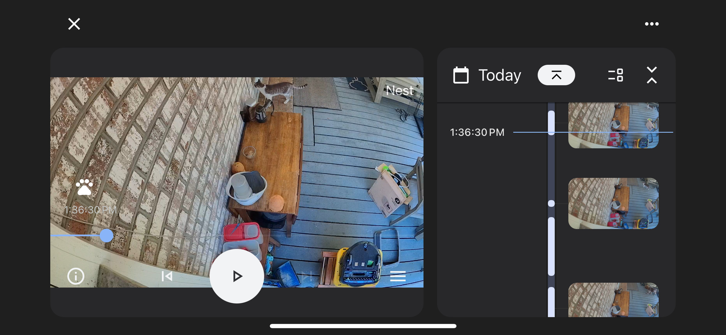 A screenshot of a security camera view of a back porch with a cat in view