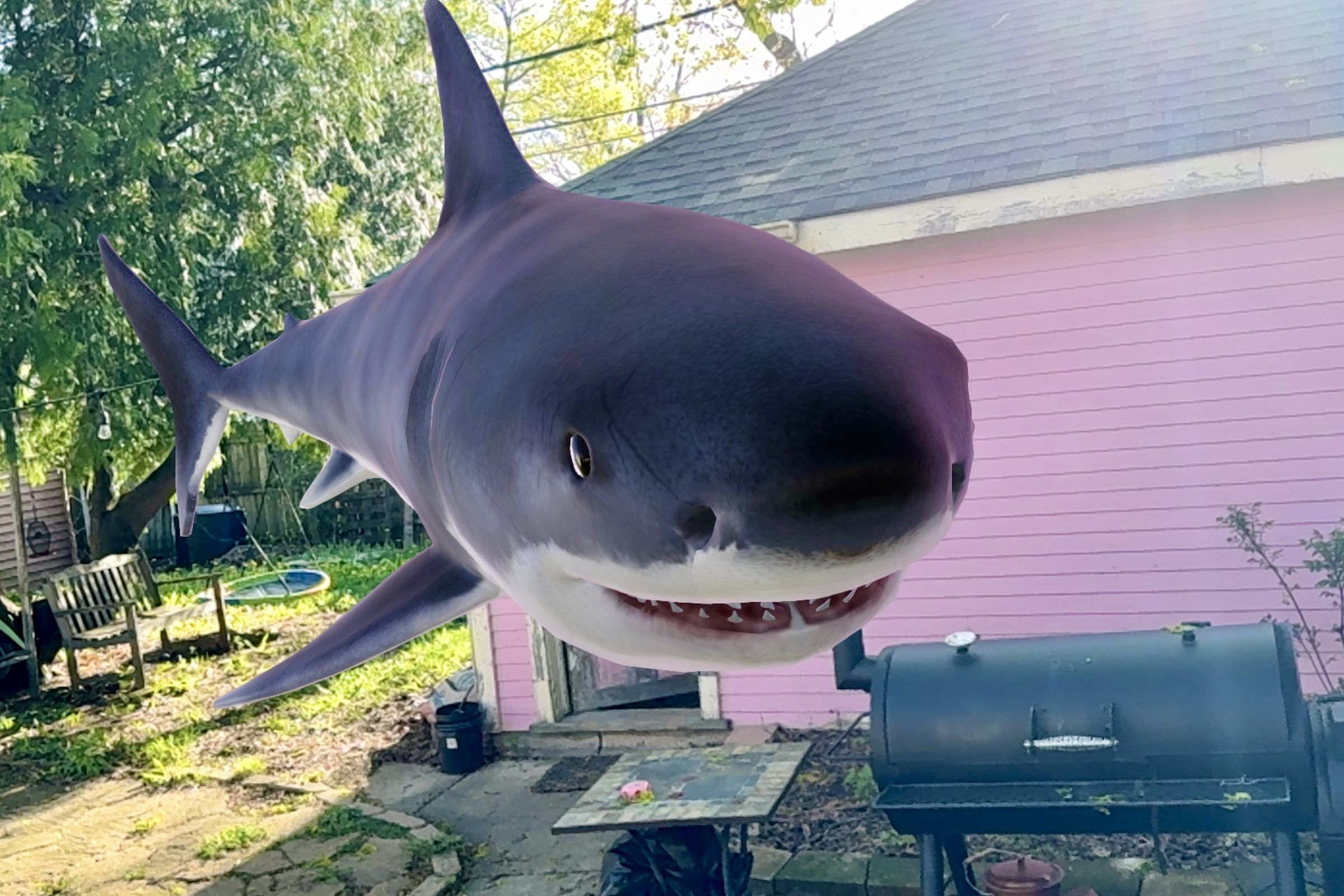 A Great White Shark floating above the ground in a backyard area.