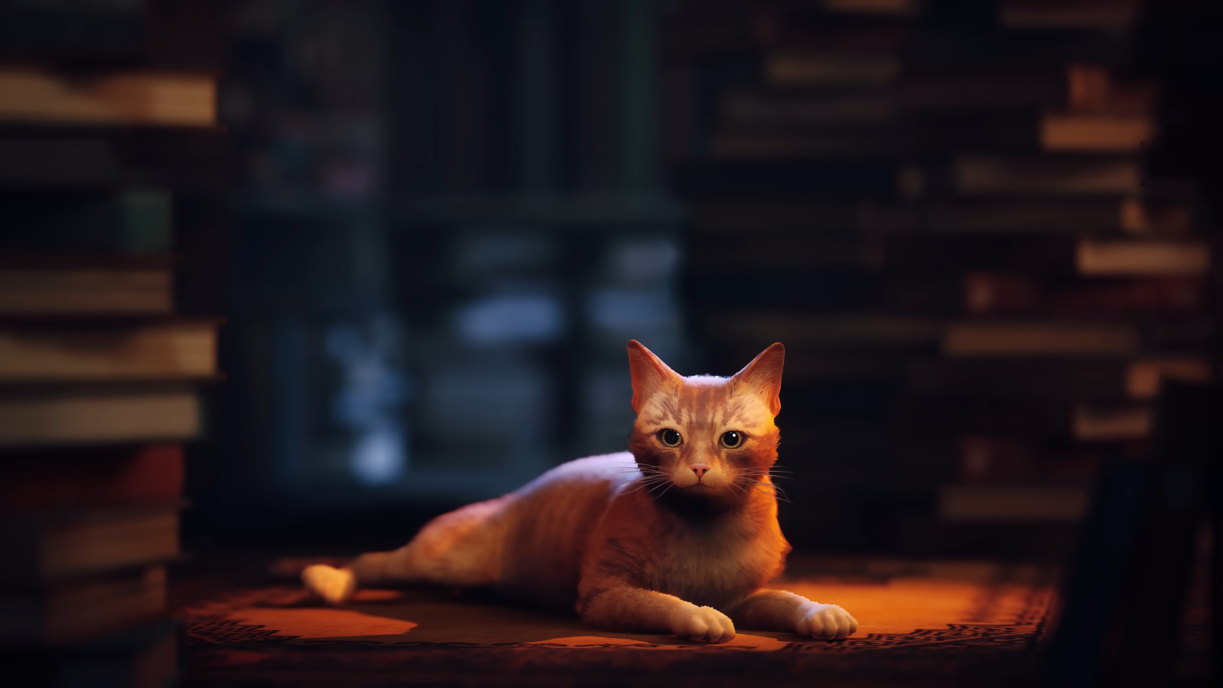A screenshot of the cat from Stray.