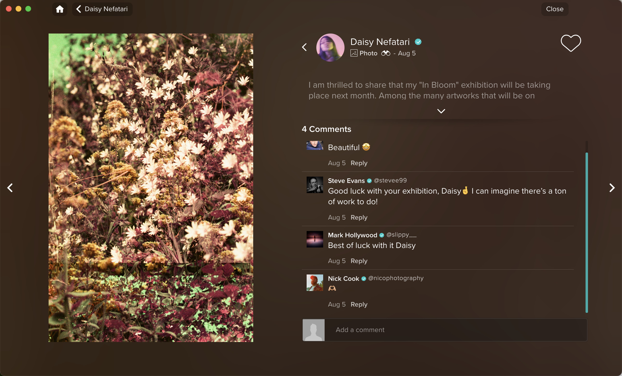 Photo of brown flowers on left, discussion of the photo on right.