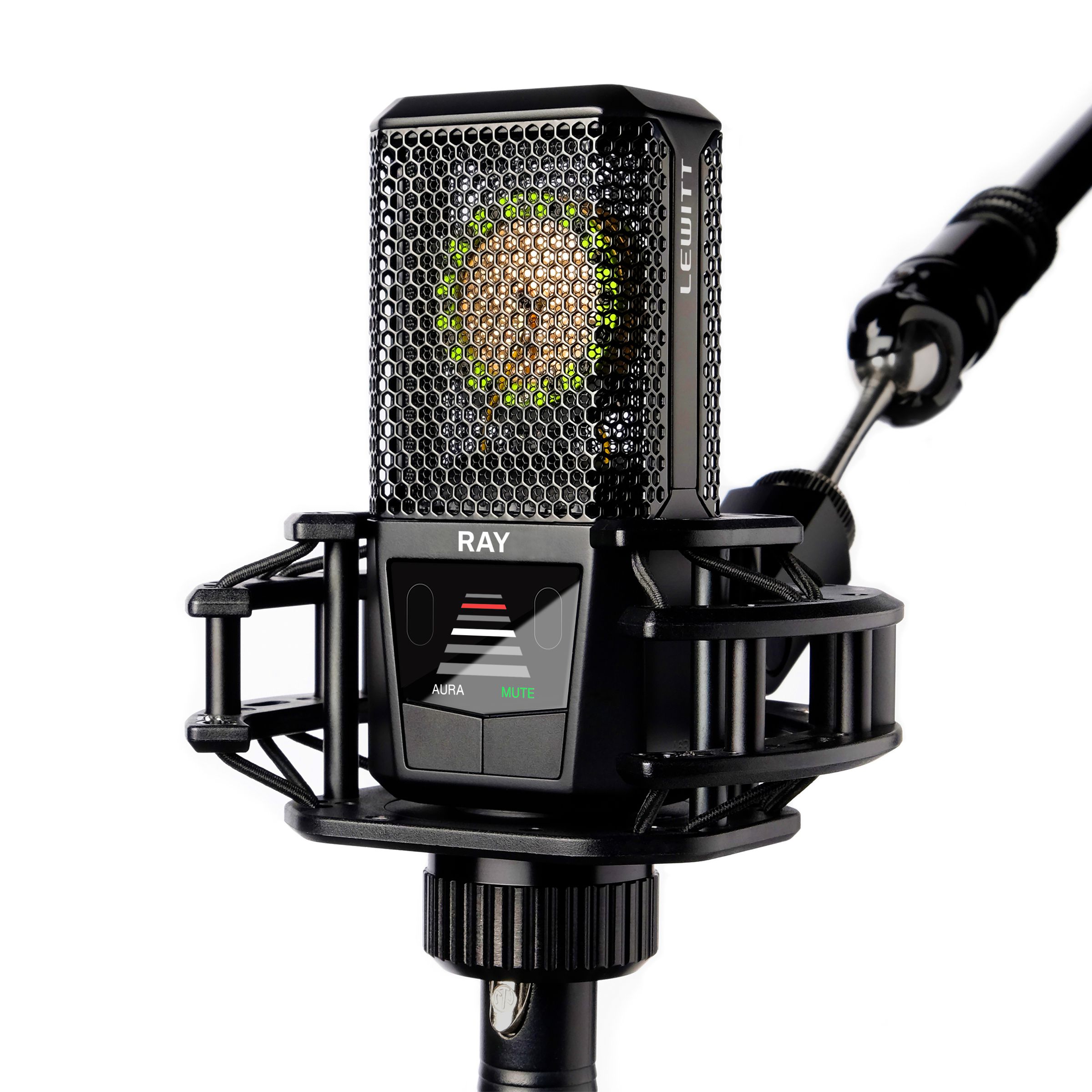 Front of the Ray — a meter showing how far away you are from the microphone.