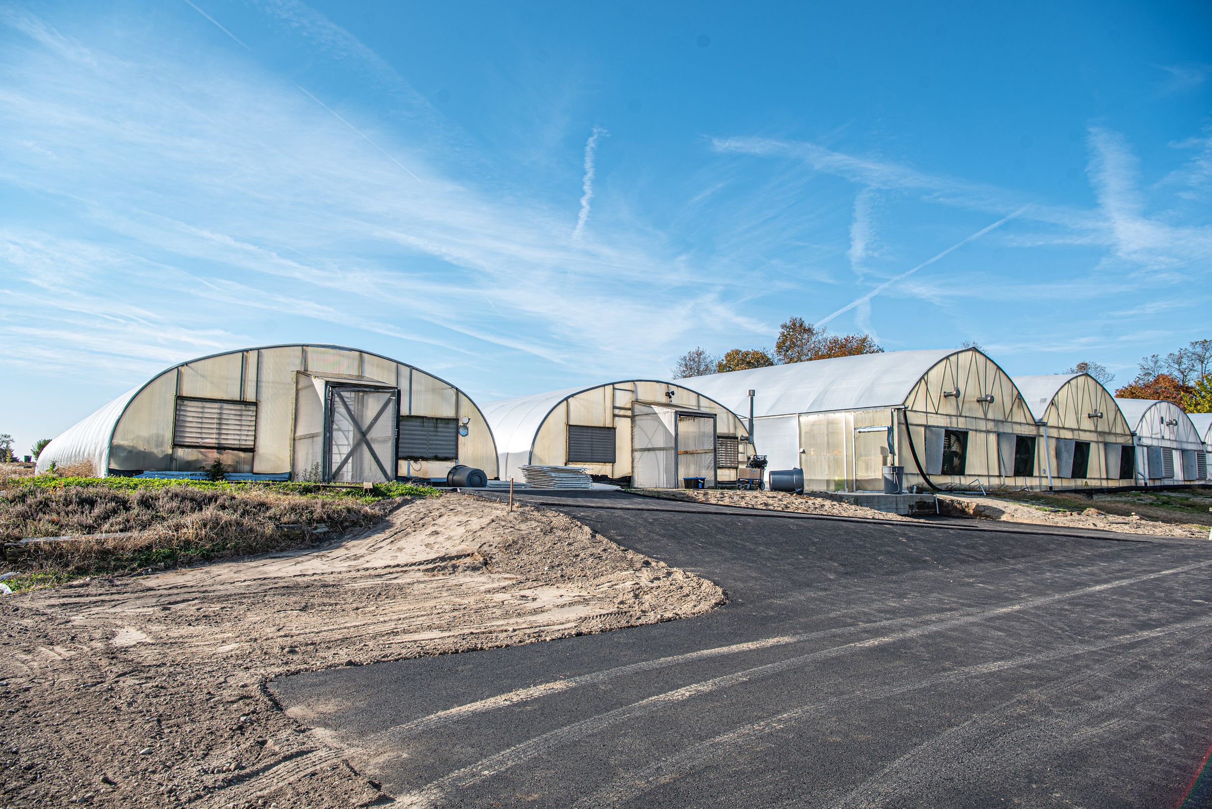 Several greenhouses arranged closely together, with a dark paved road leading towards them. The greenhouses are set against a backdrop of a clear blue sky.