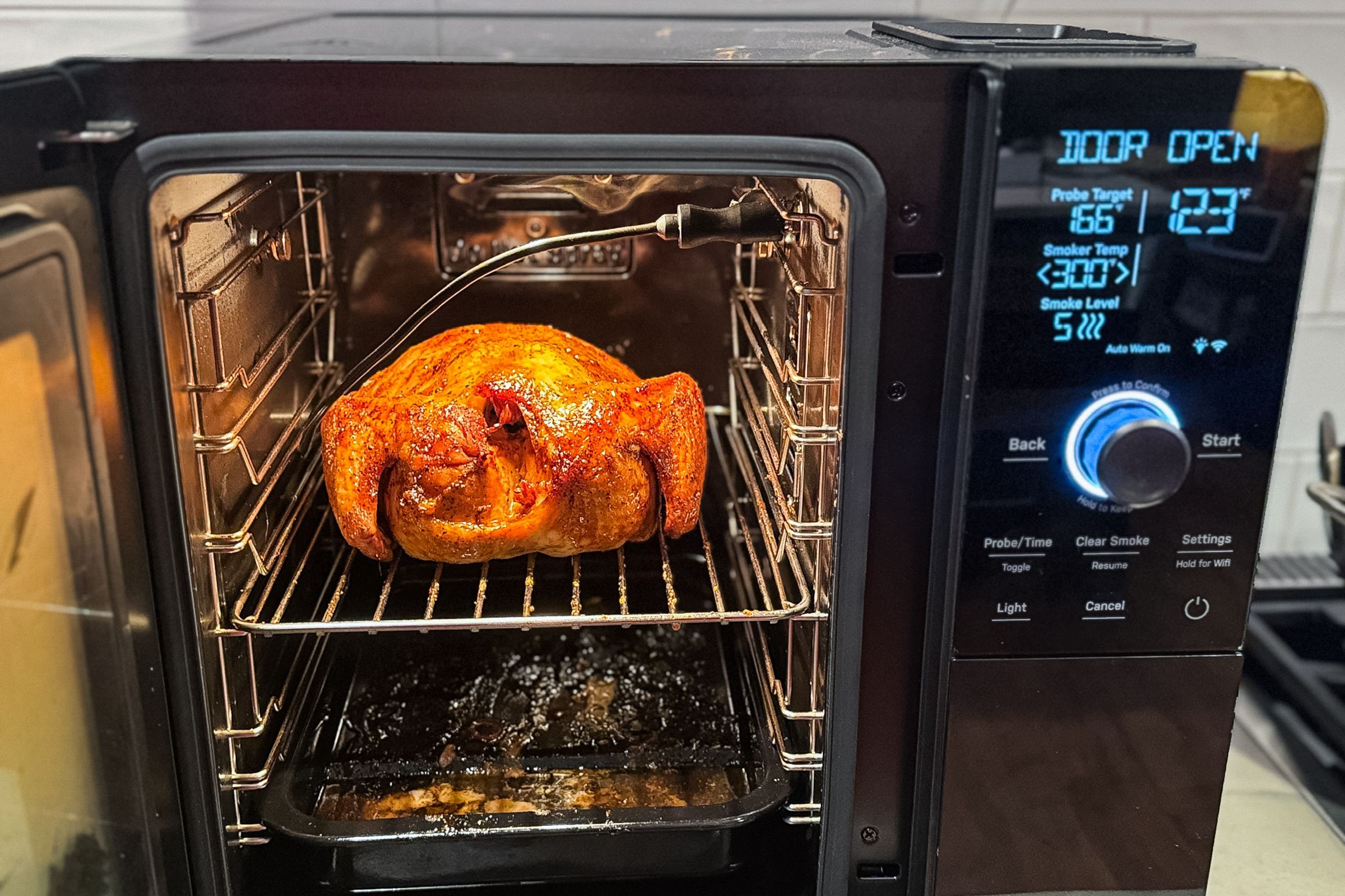 <em>Smoked chicken was my favorite of all the dishes I cooked in the smoker. </em>