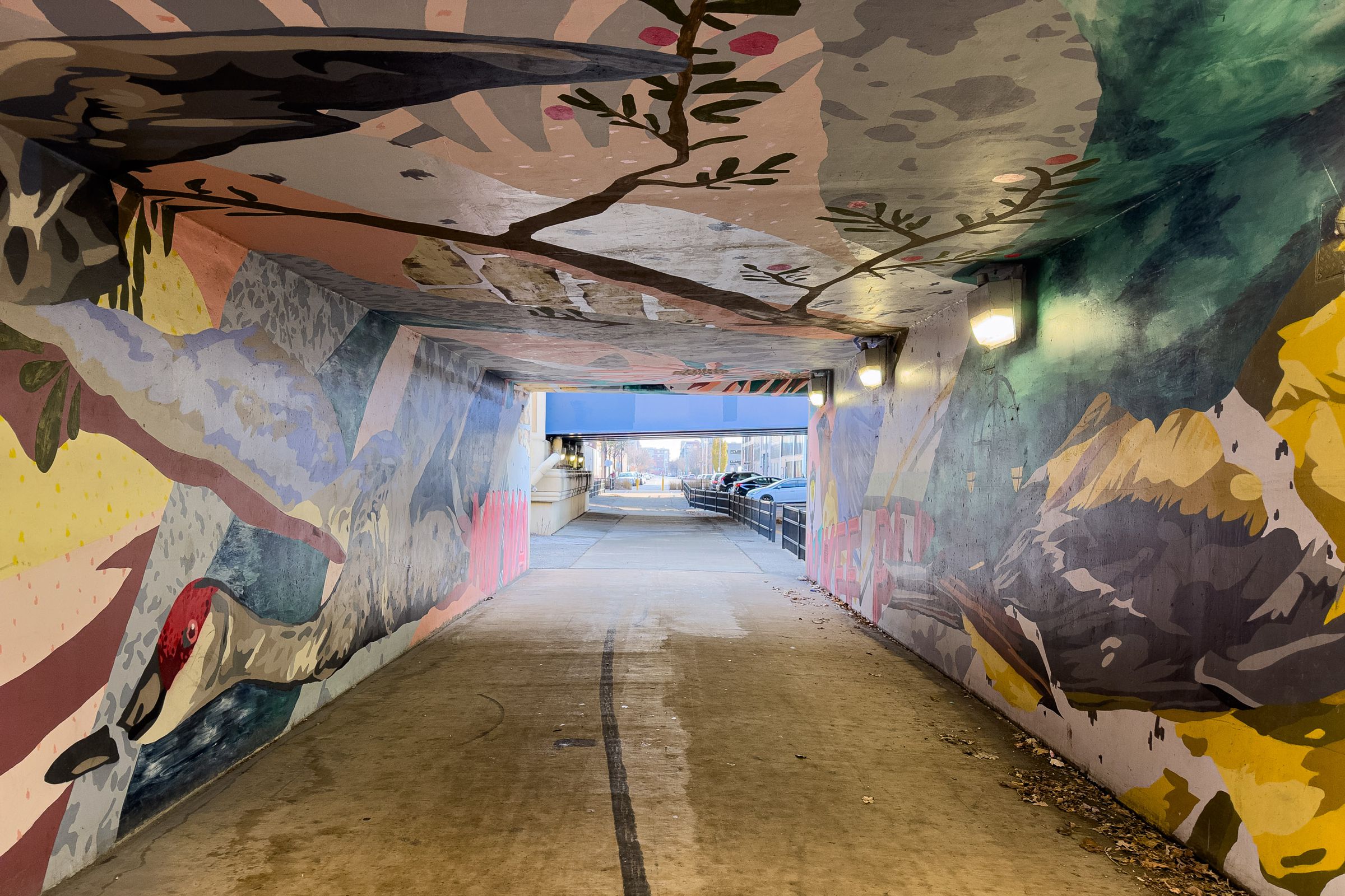 A picture from a tunnel passing beneath a highway, the walls and ceiling covered in artwork.
