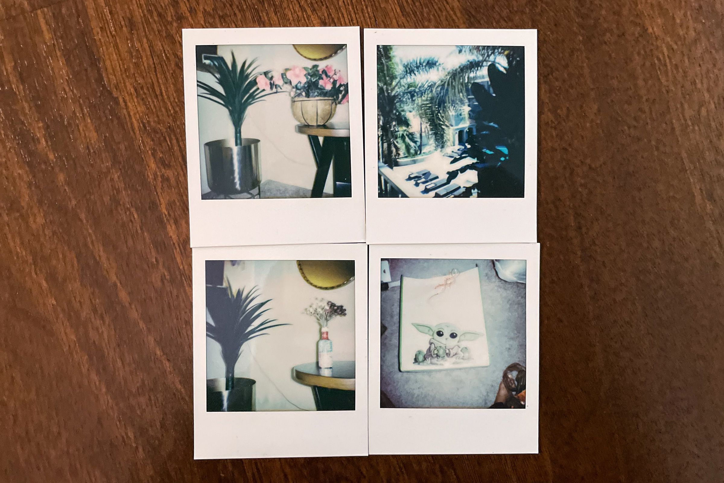 The second-gen Polaroid Go produces charming photos but with a cooler tone.