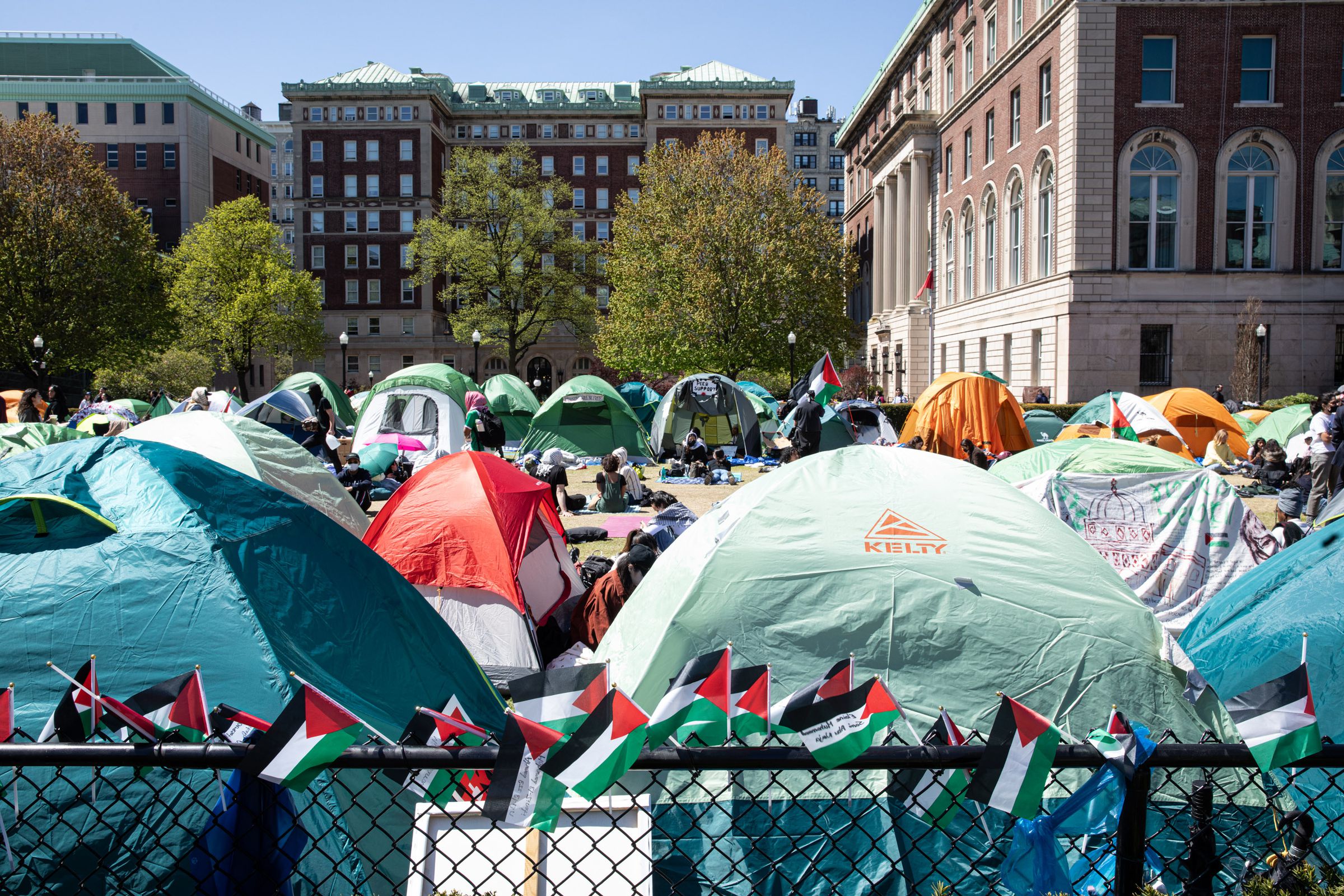 A photo of tents on a university quad, behind a low fence adorned with small Palestinian flags.