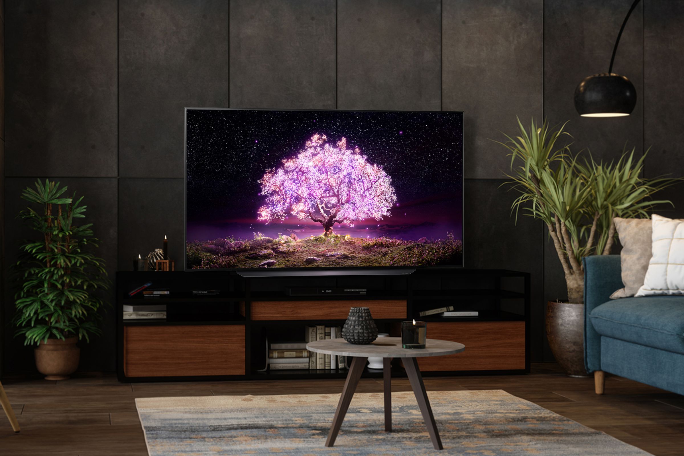 The LG C1 OLED TV supports HDMI 2.1 and 120Hz Variable Refresh Rate for use with modern consoles.