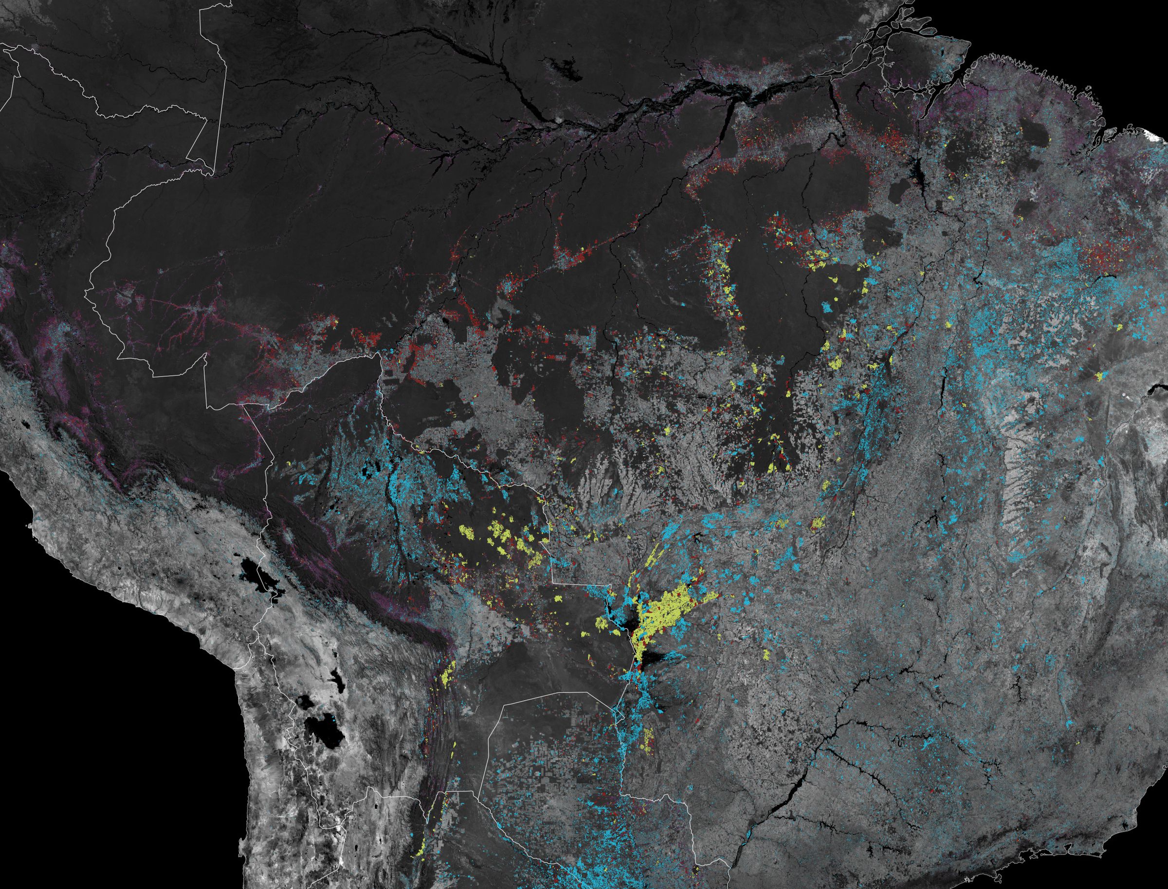 NASA grouped fires into four different types marked on this map: fires caused by deforestation to make way for industry (red), uncontrolled fires that burn the understory of the forest (green), fires burning in savanna-grasslands (blue), and small fires set by subsistence farmers to clear land (purple). NASA looks at the duration, intensity, and movement of fire “hotspots” to identify what kind of fire is burning.