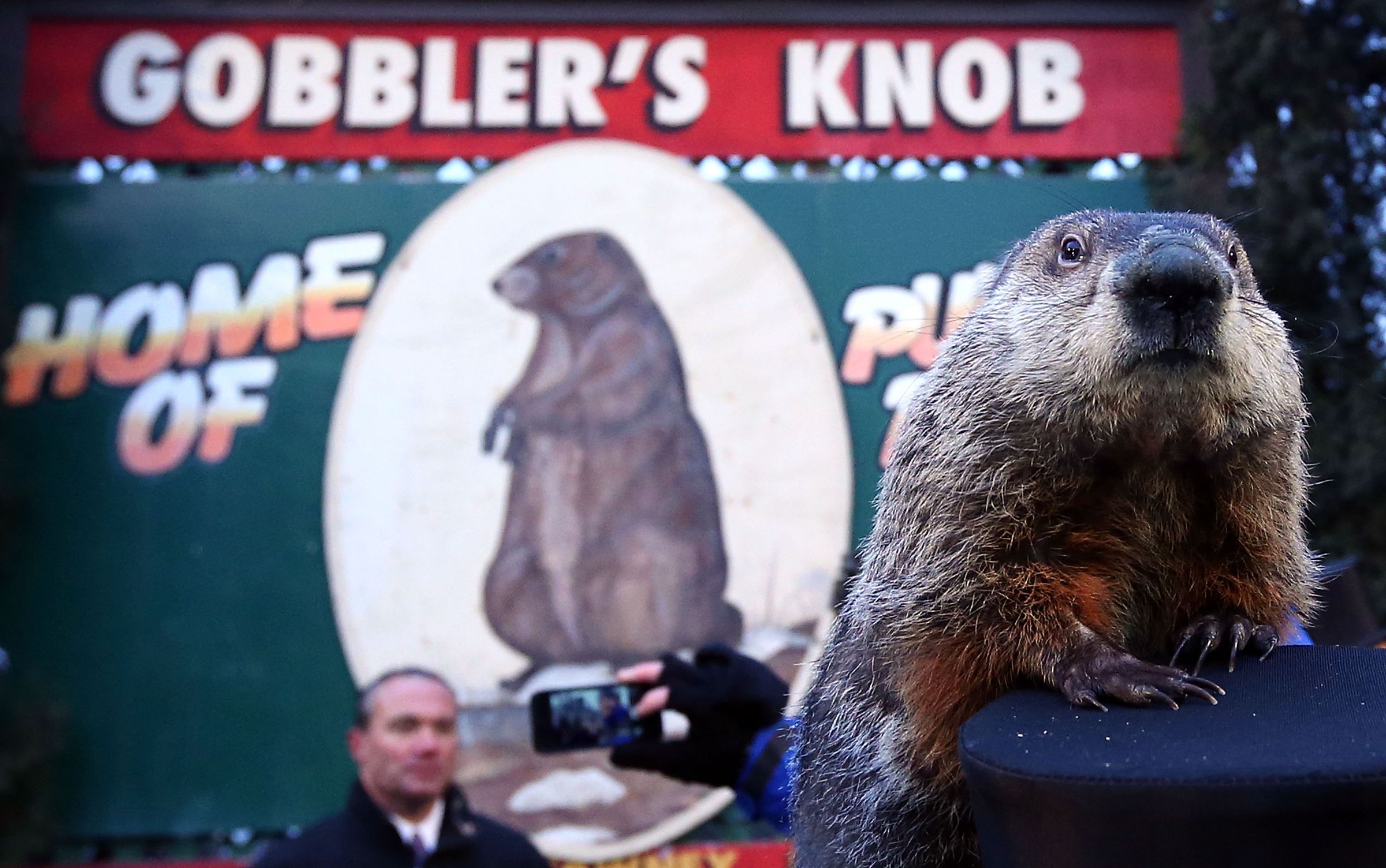 Annual Groundhog’s Day Ritual Held In Punxsutawney, Pennsylvania