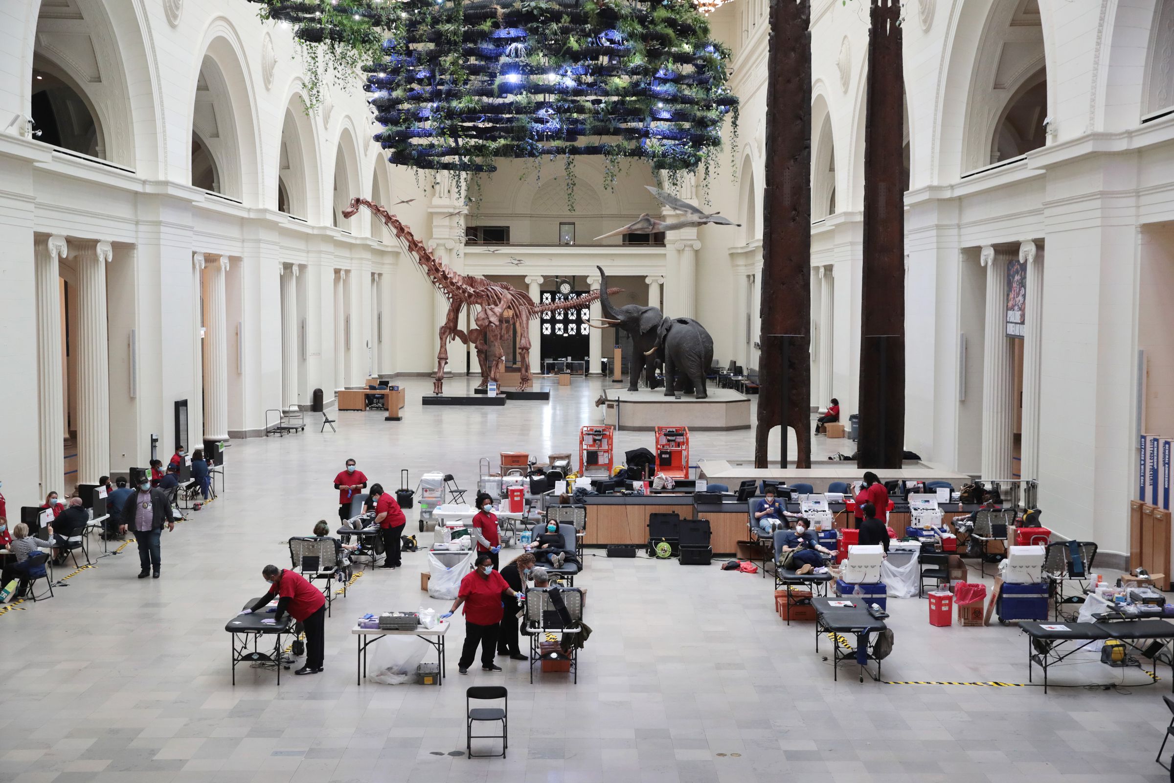 Chicago’s Field Museum Of Natural History Hosts Blood Drive Amid COVID-19 Crisis