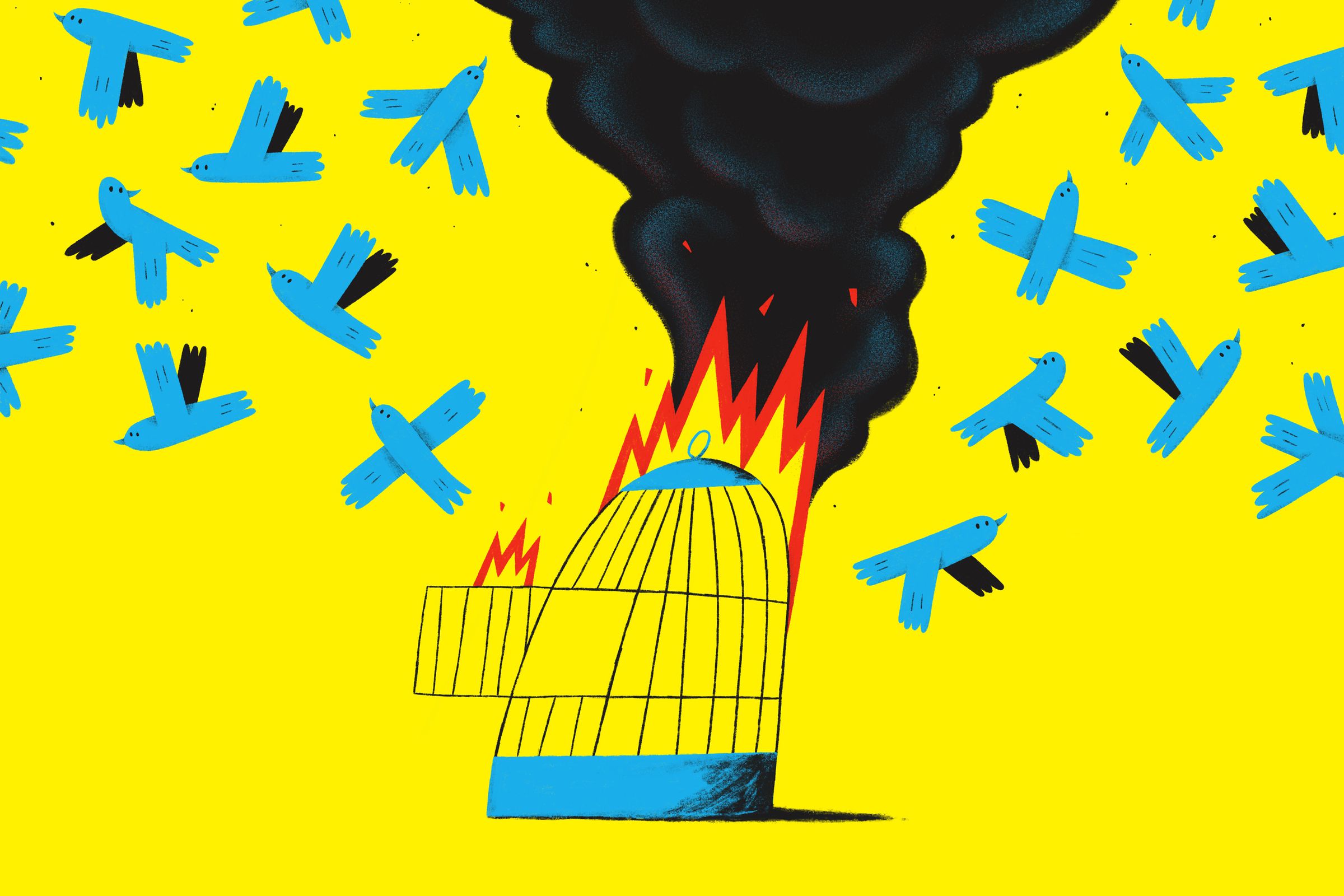 An image of a birdcage on fire