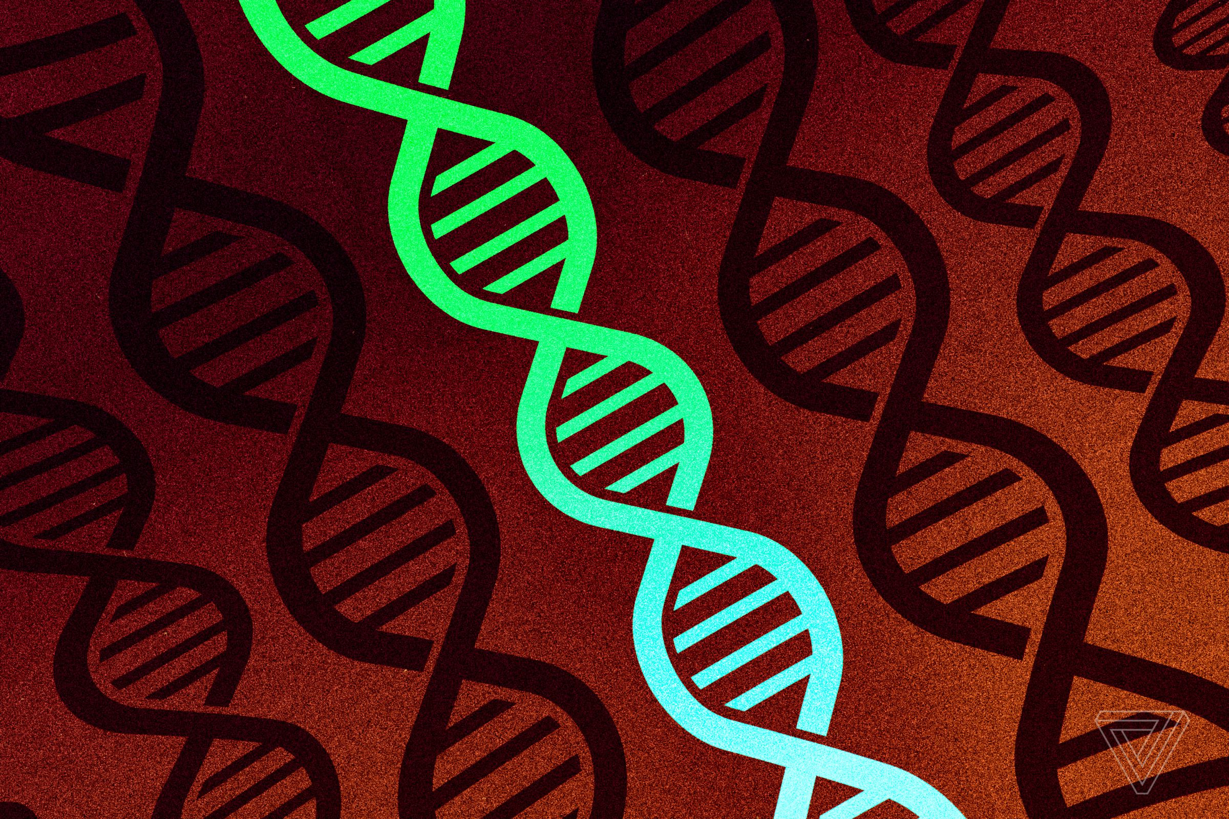 An illustrated green DNA helix against a red backdrop with black DNA helixes. 