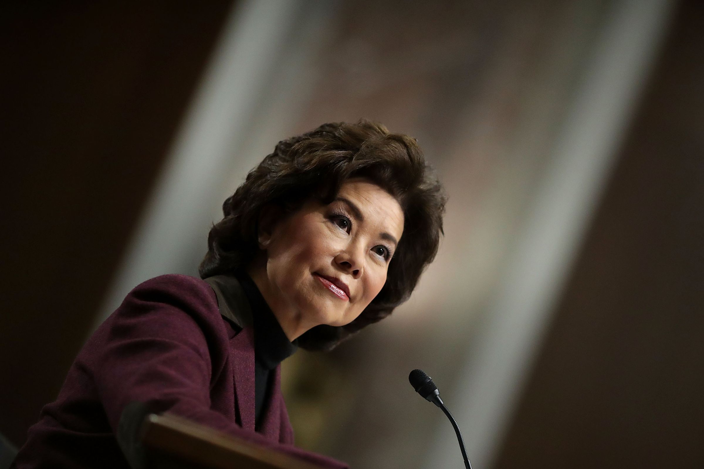 Senate Committee Holds Confirmation Hearing For Trump's Pick To Be Transportation Secretary Elaine Chao