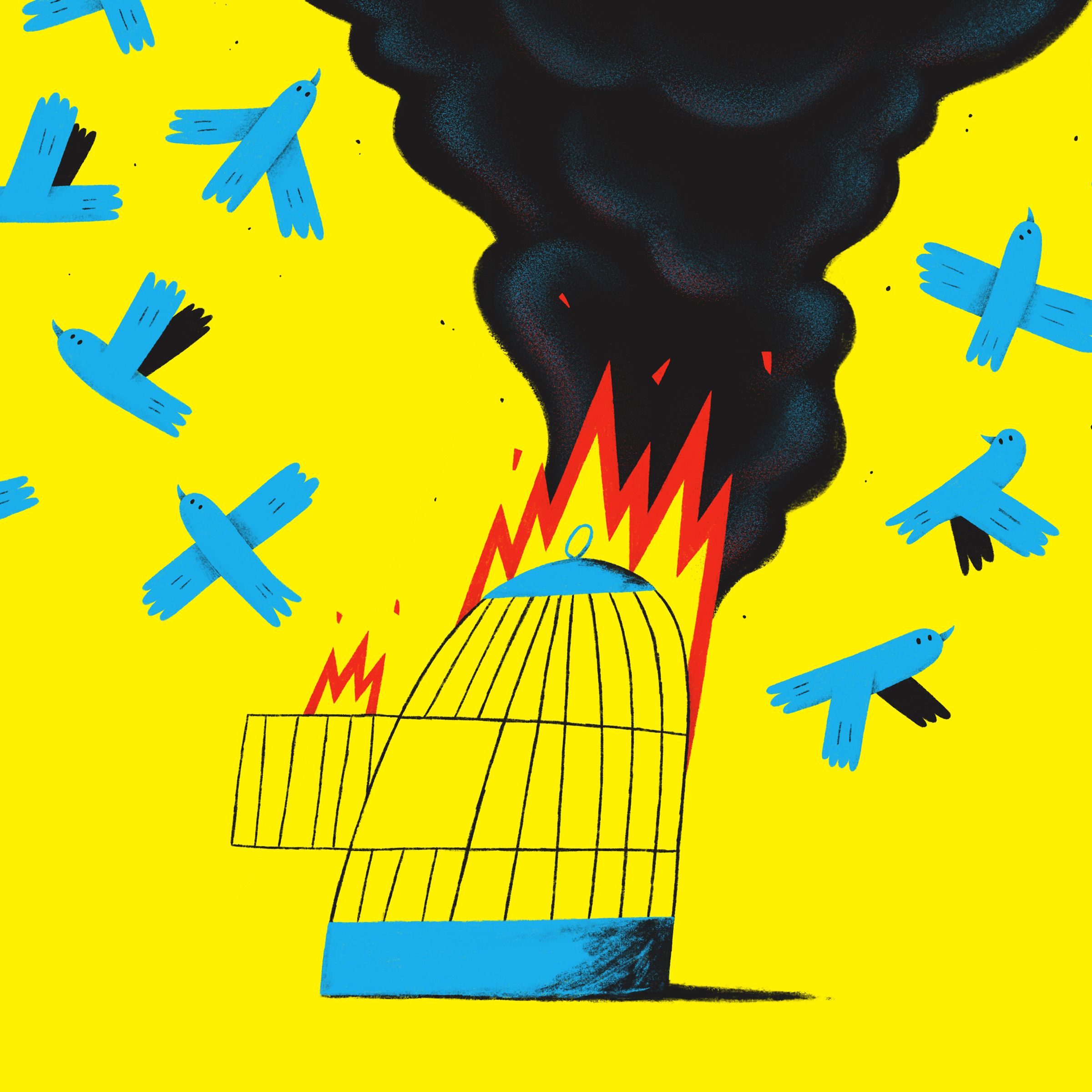 An image of a birdcage on fire