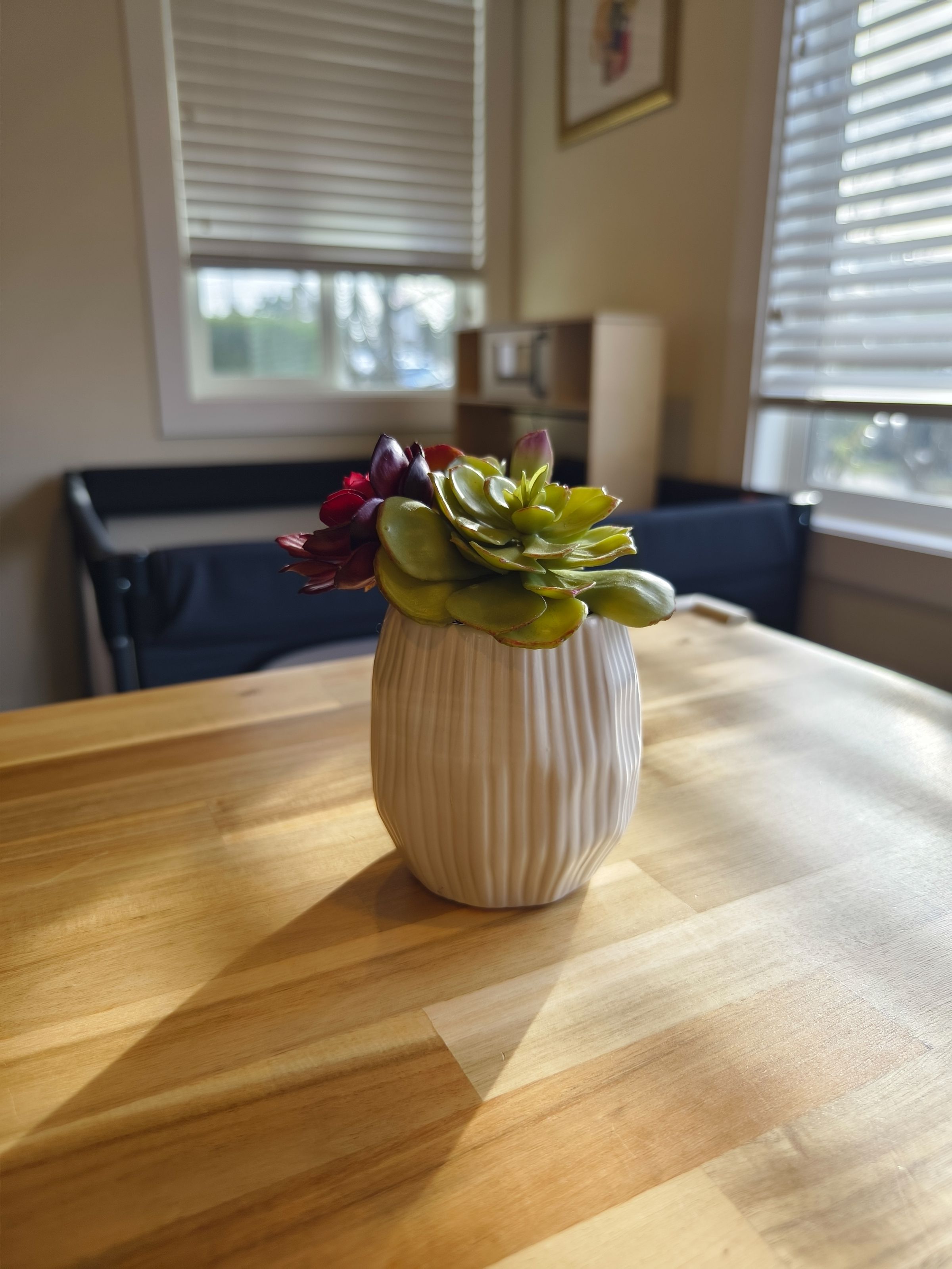 Photo of a fake succulent on a tabletop with blurred background.