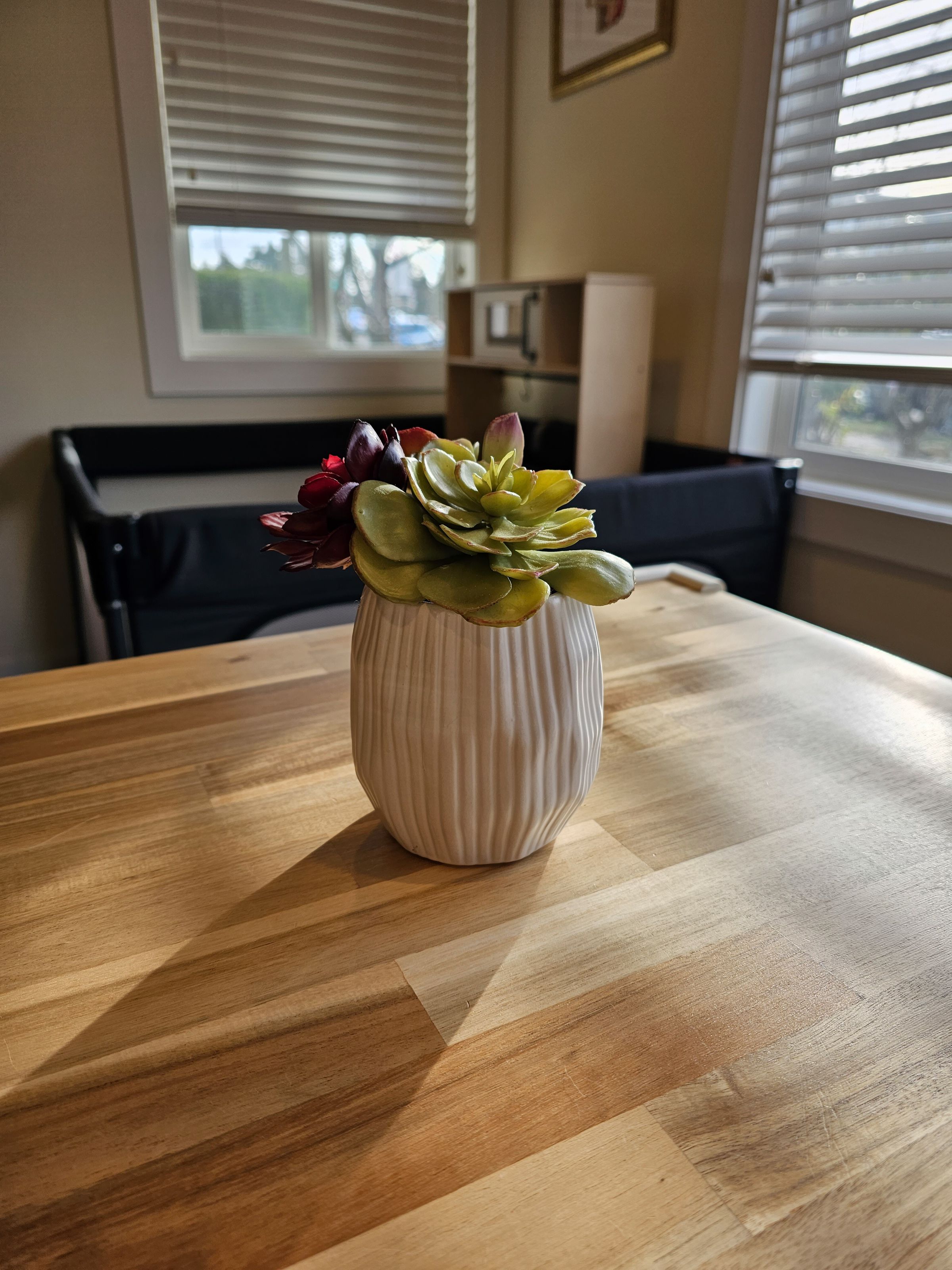 Photo of a fake succulent on a table with a slightly blurred background behind.