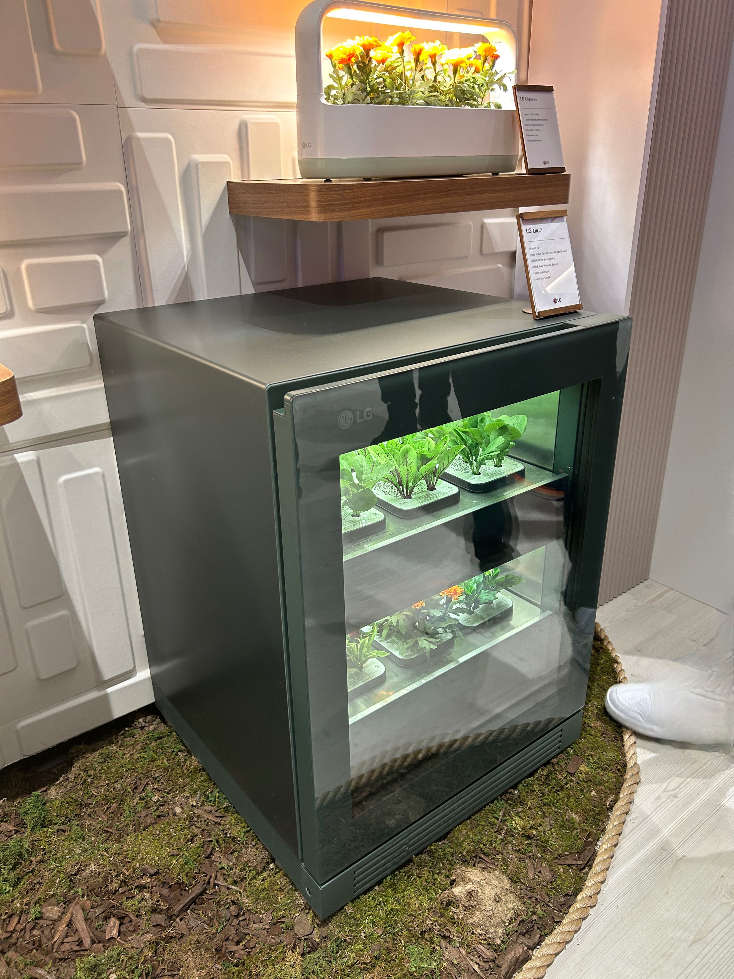The LG Tiiun is a mini fridge that grows greens.