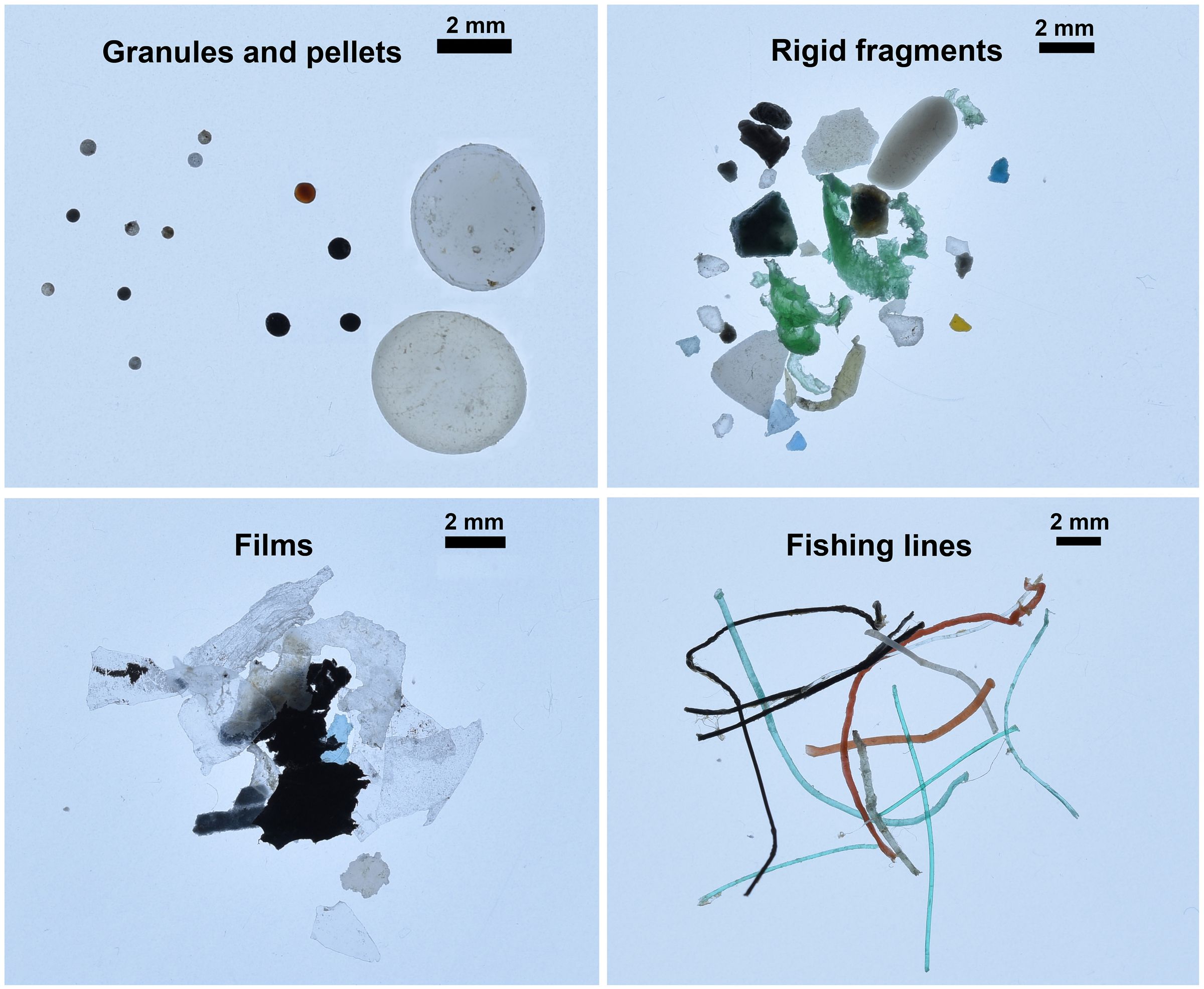 Microplastics found in the Arctic Ocean, divided into four different categories. Photos by Andres Cozar