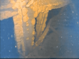 The submersible robot captured video of the interior of the damaged Unit 3 reactor at Fukushima Daiichi.