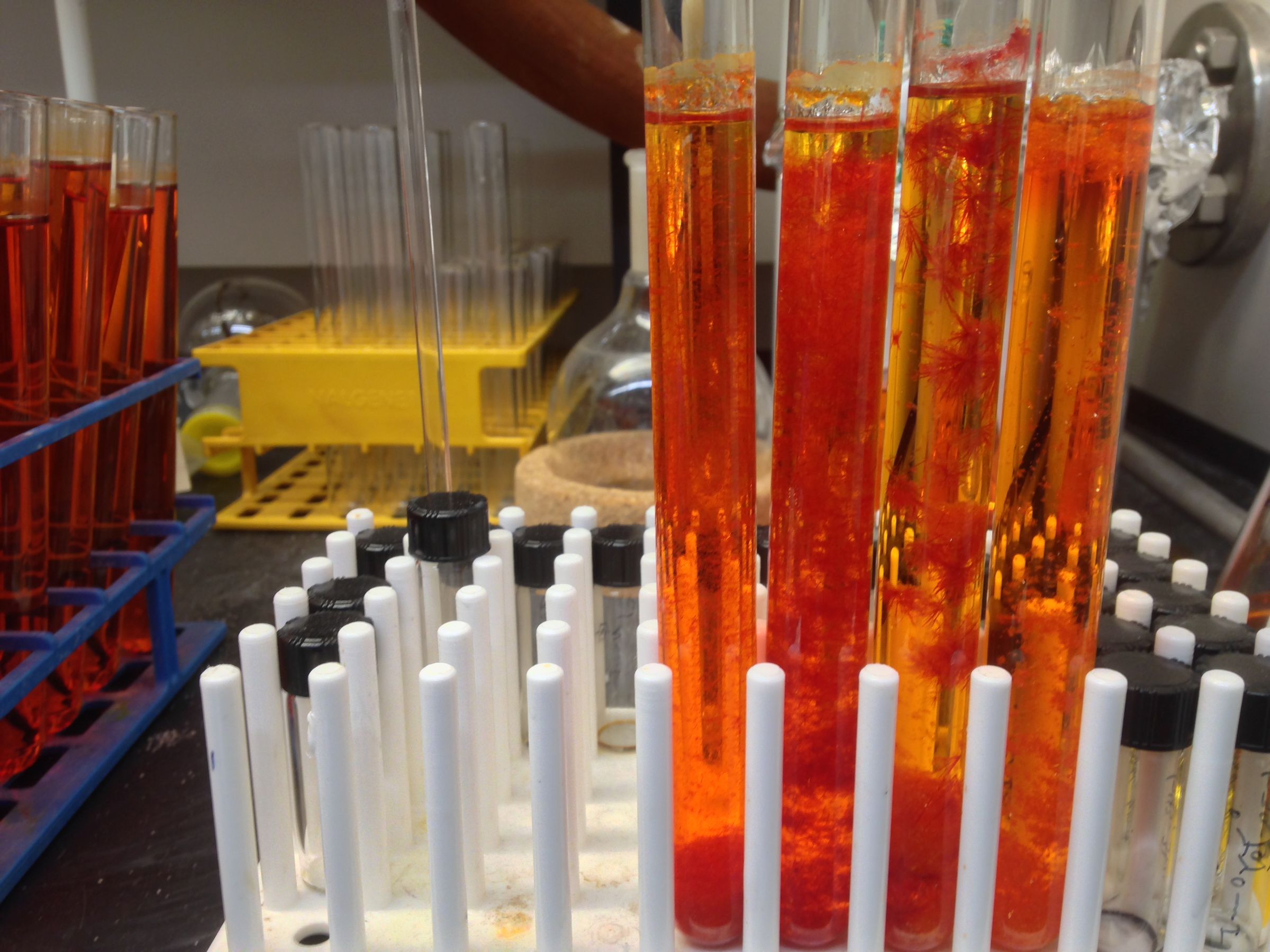 Test tubes containing purified crystals of DSFO(Me)4, a model compound used in the study.