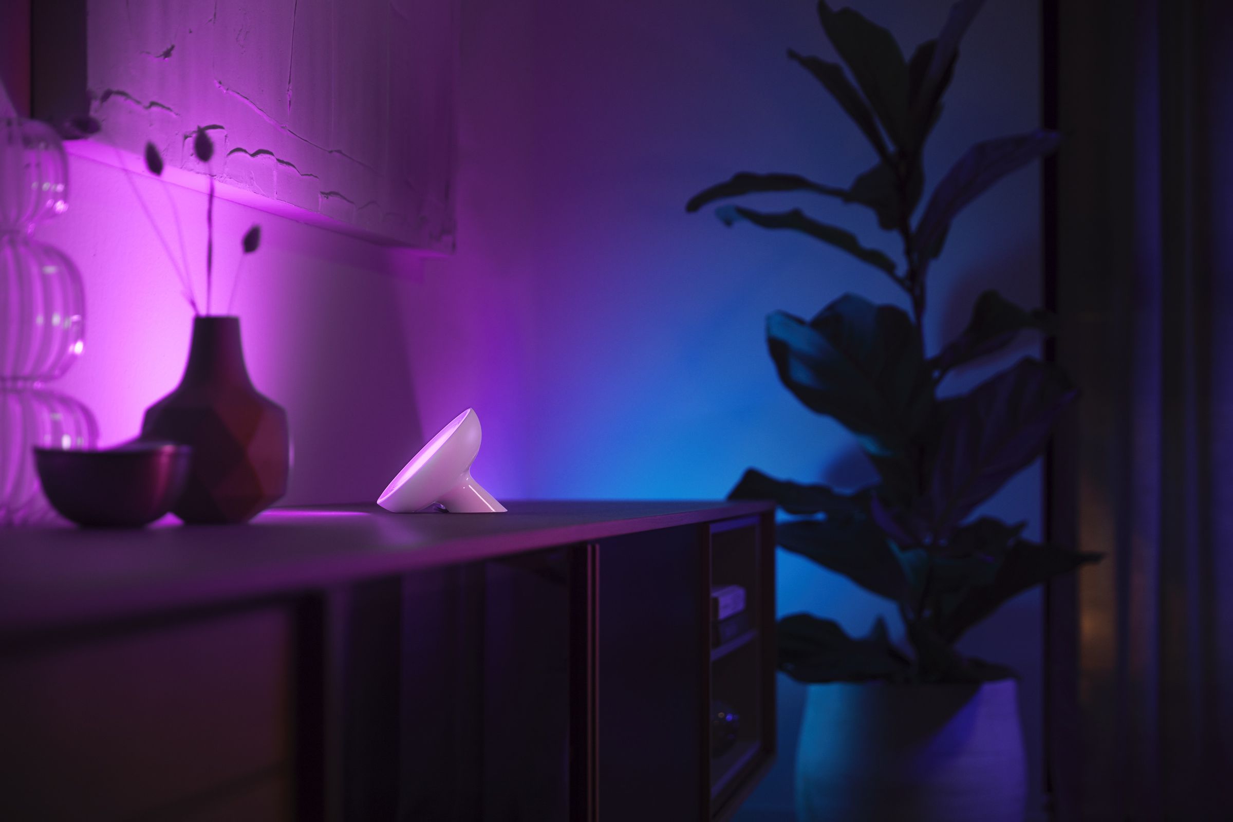 The Philips Hue Bloom