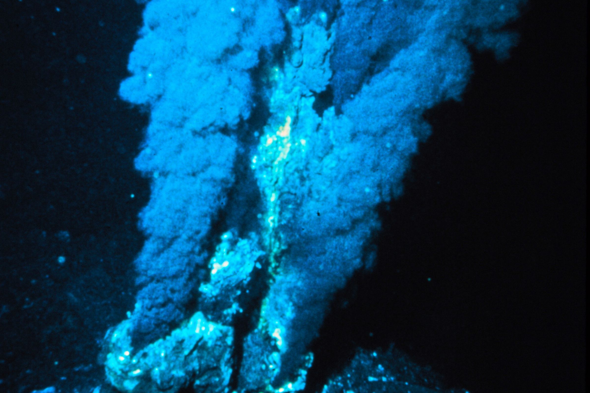 Black smoker at a mid-ocean ridge hydrothermal vent.
