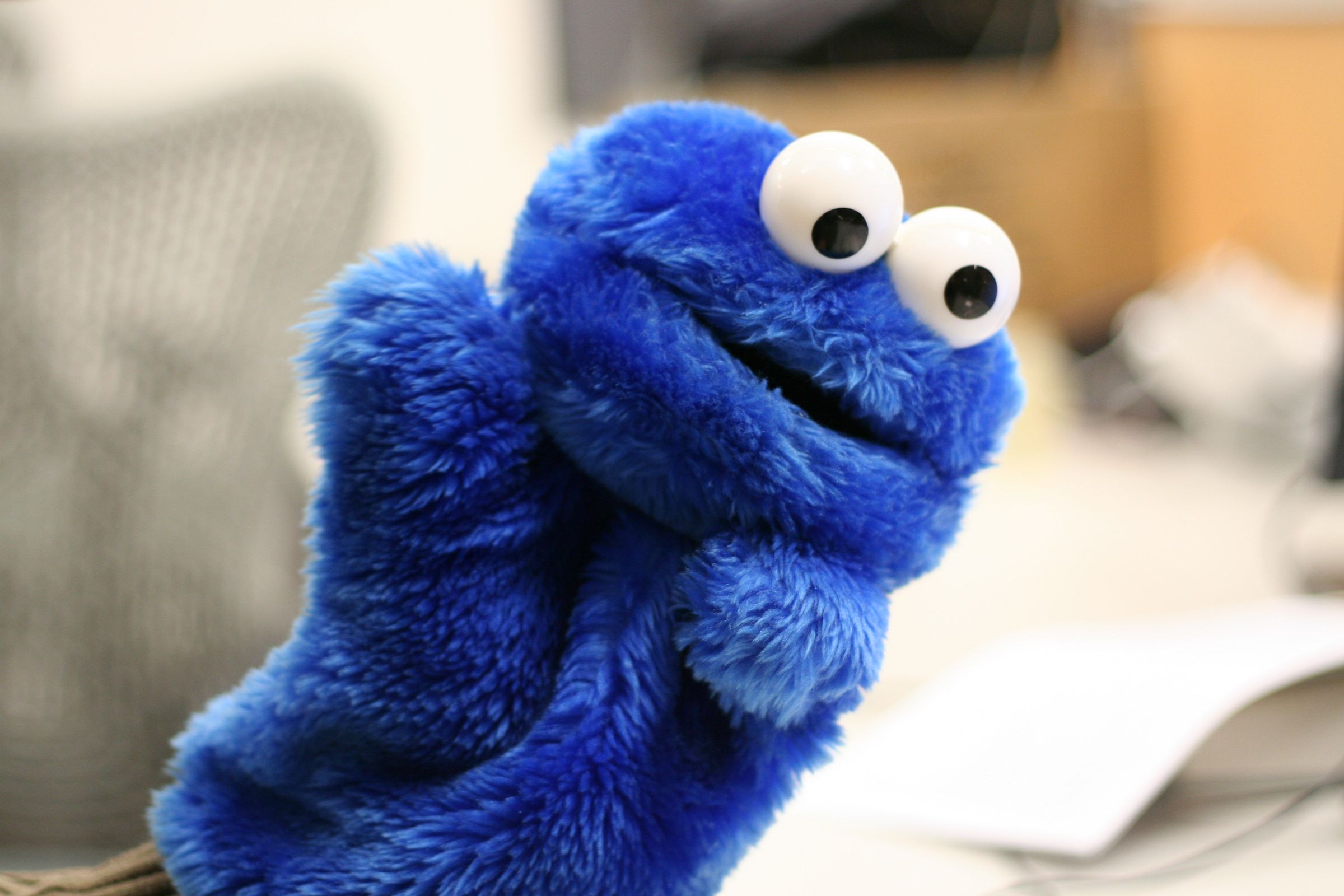 Cookie Monster puppet (not a puppet used in the actual study, sadly).