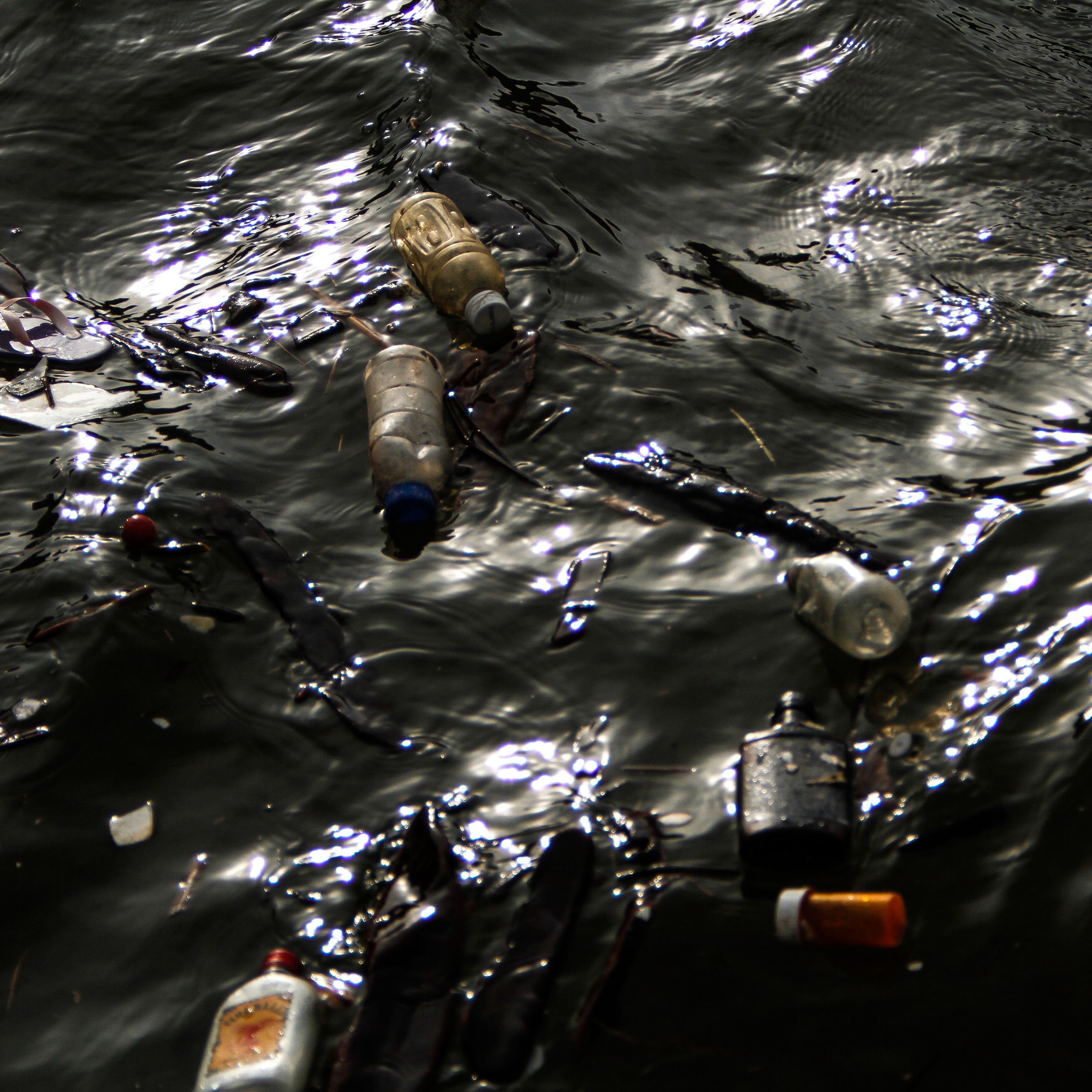Garbage floats in the Flint River