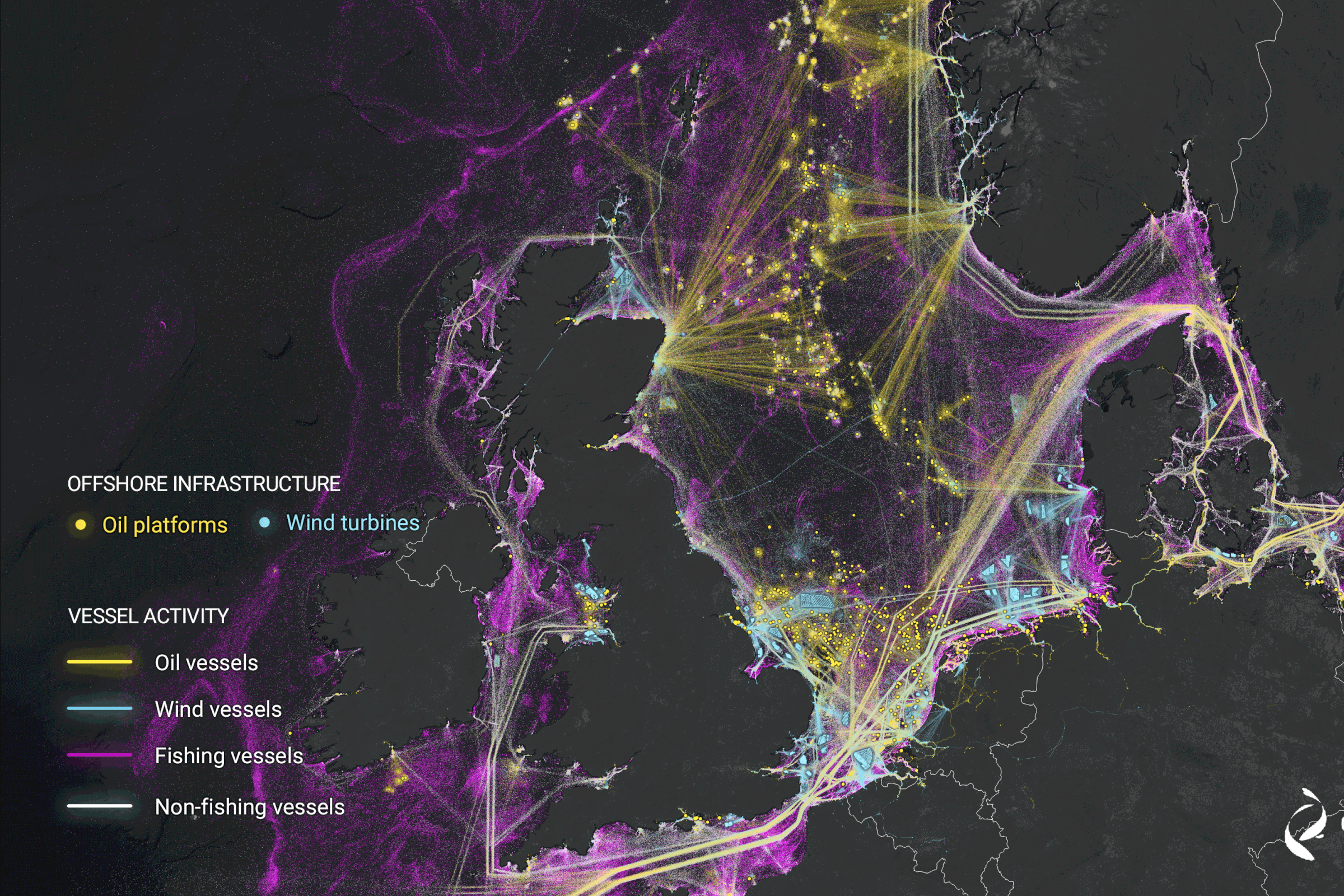A dark map with bright streaks of yellow to show offshore oil structures and vessels, blue to show offshore wind structures and vessels, and purple to show fishing vessels.