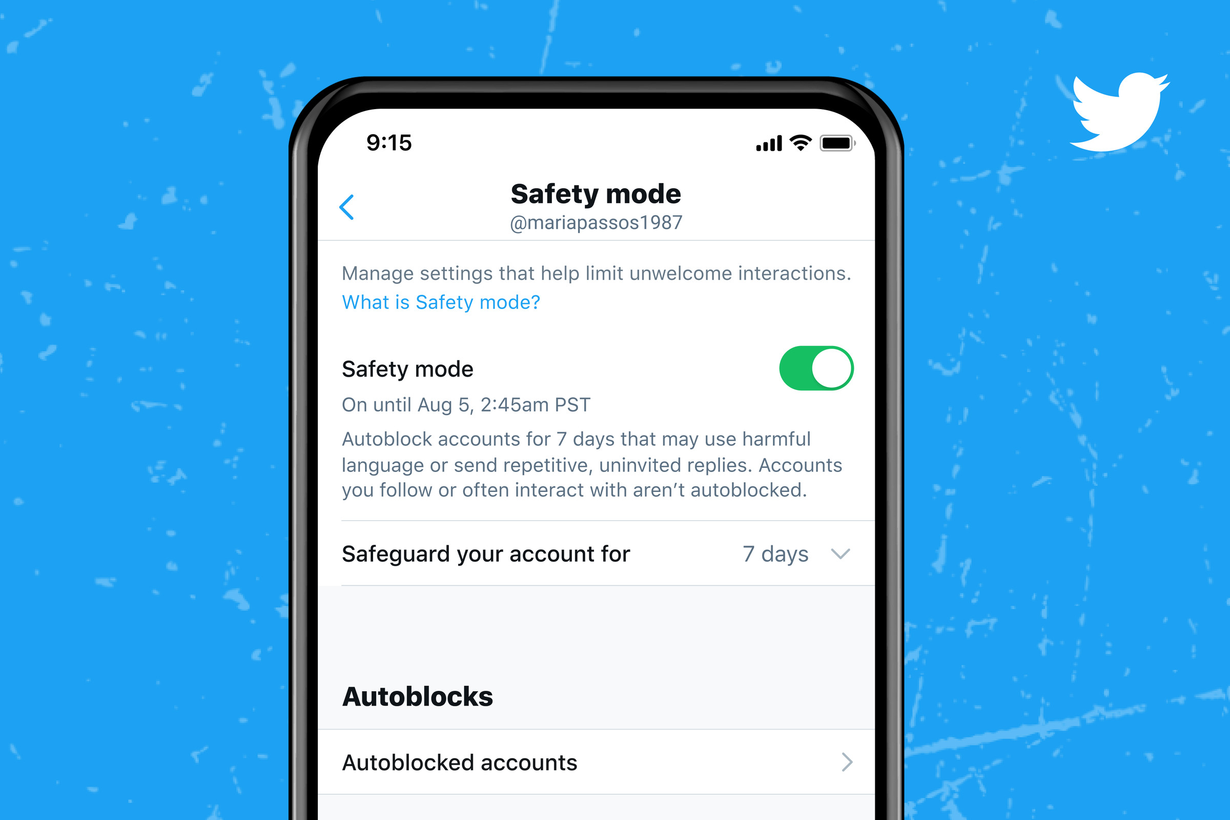 Here’s what Safety Mode settings look like.