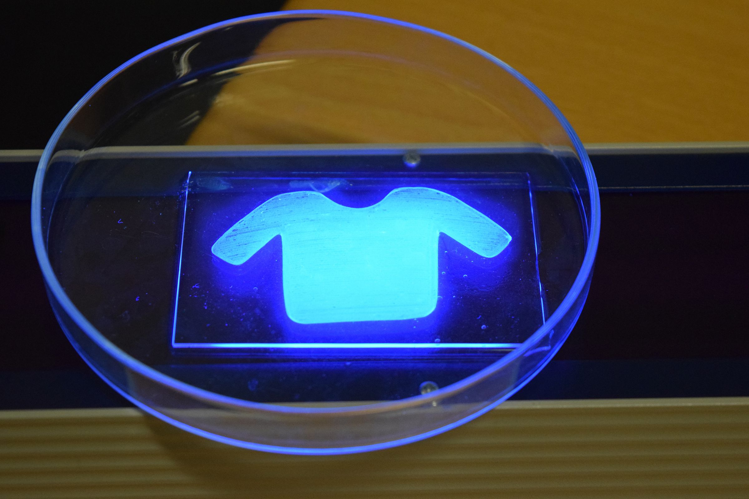 3D-printed T-shirt grown by cellulose-producing bacteria.