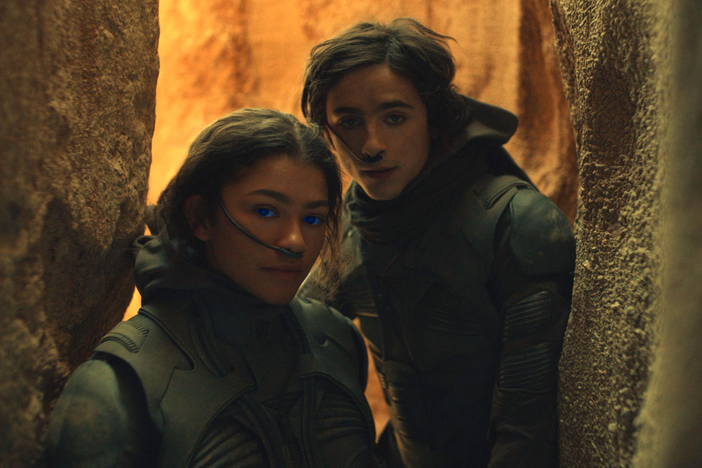 A young woman and a young man standing very close to one another between steep cliff faces. Both are wearing all-black, full-body suits that catch their body moisture, and they also have striking blue eyes.