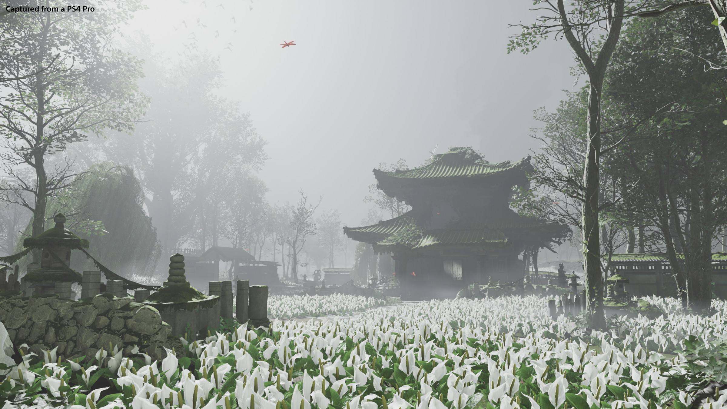 The landscapes in Ghost of Tsushima are serene