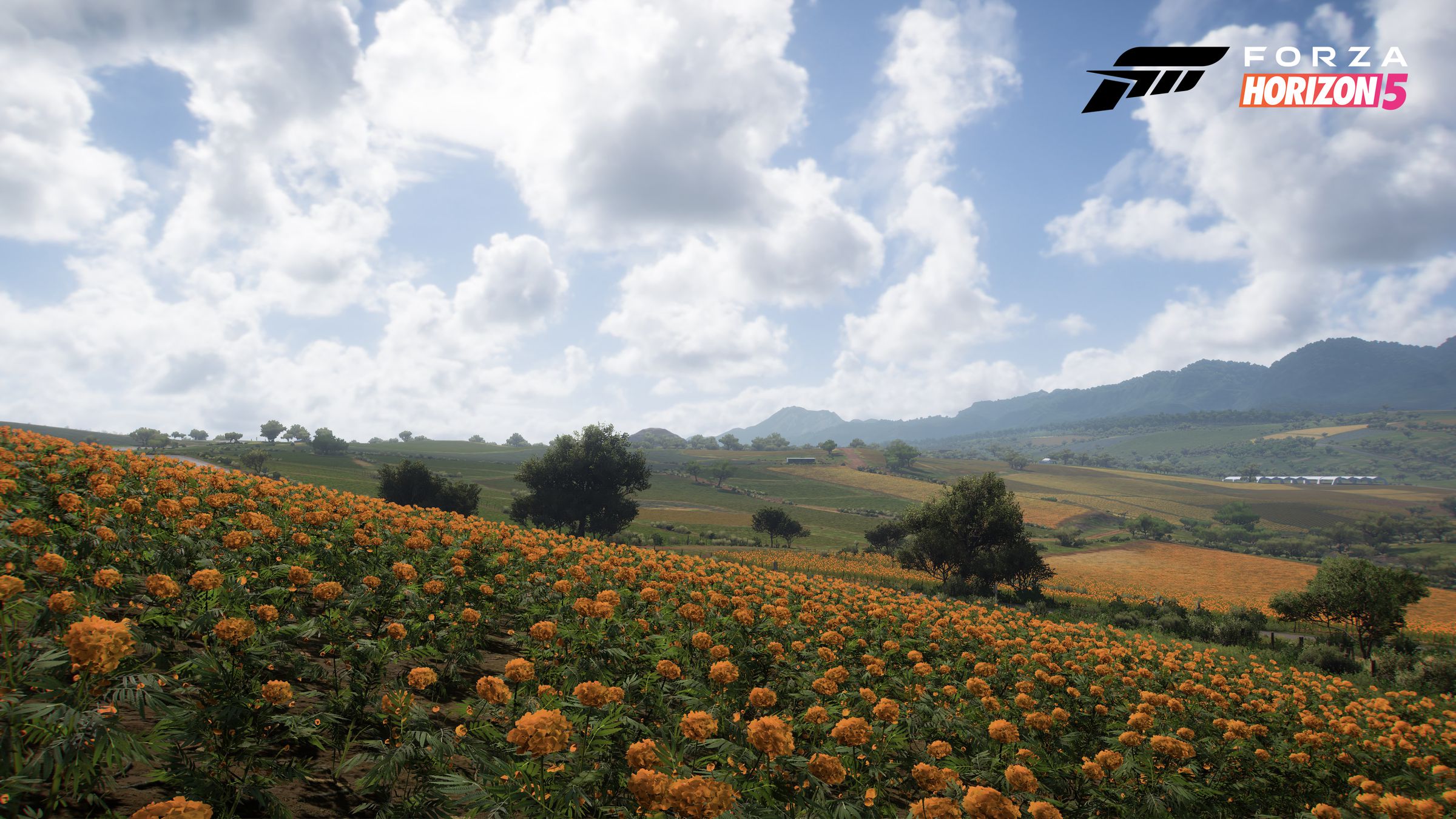 The farmland biome. Arceta said this is one of his favorite biomes because of the colors and palettes they can put into the area because of its agriculture.