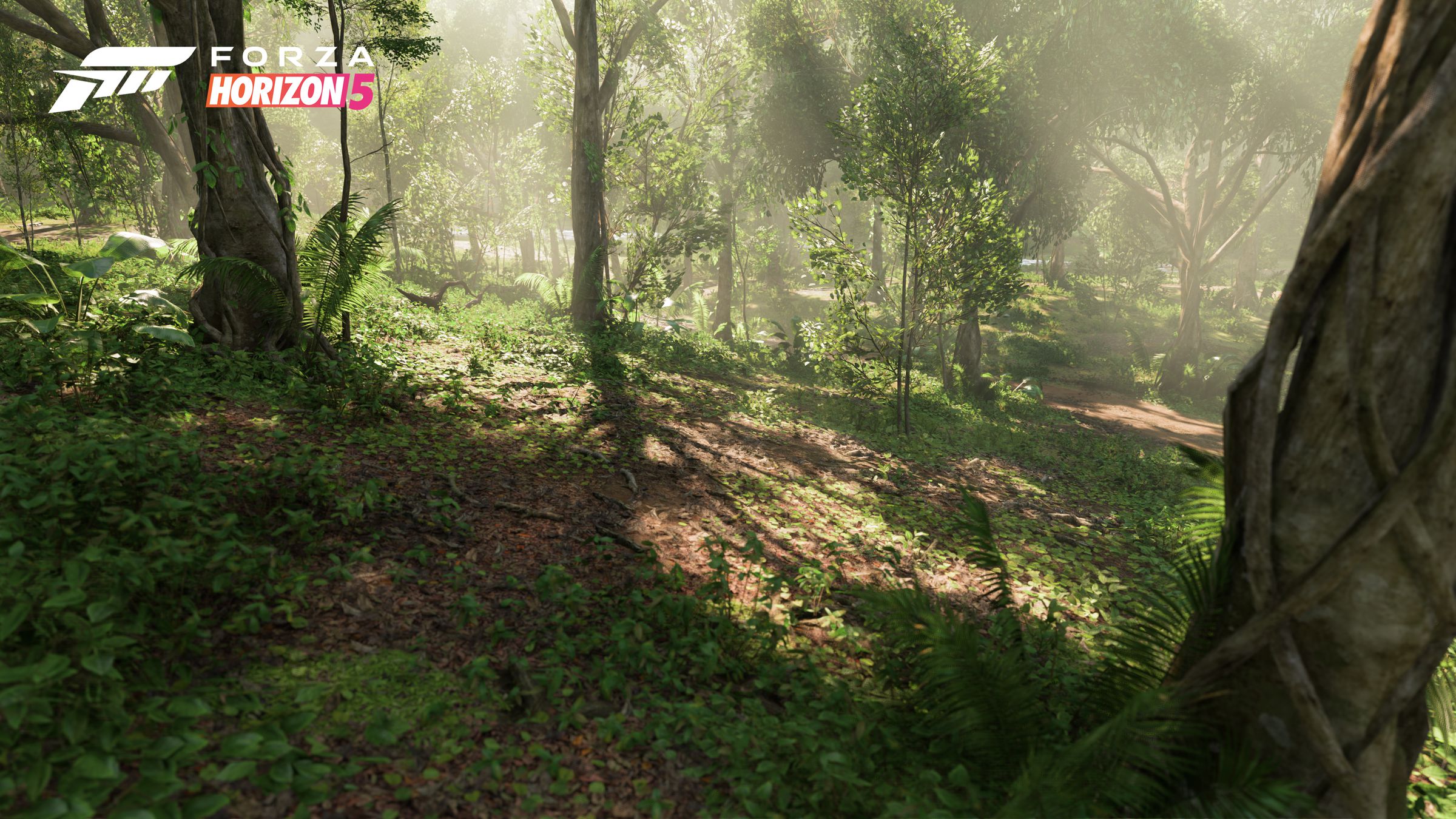 The jungle biome. You’ll see striking hidden temples as you’re driving through the lush environment.