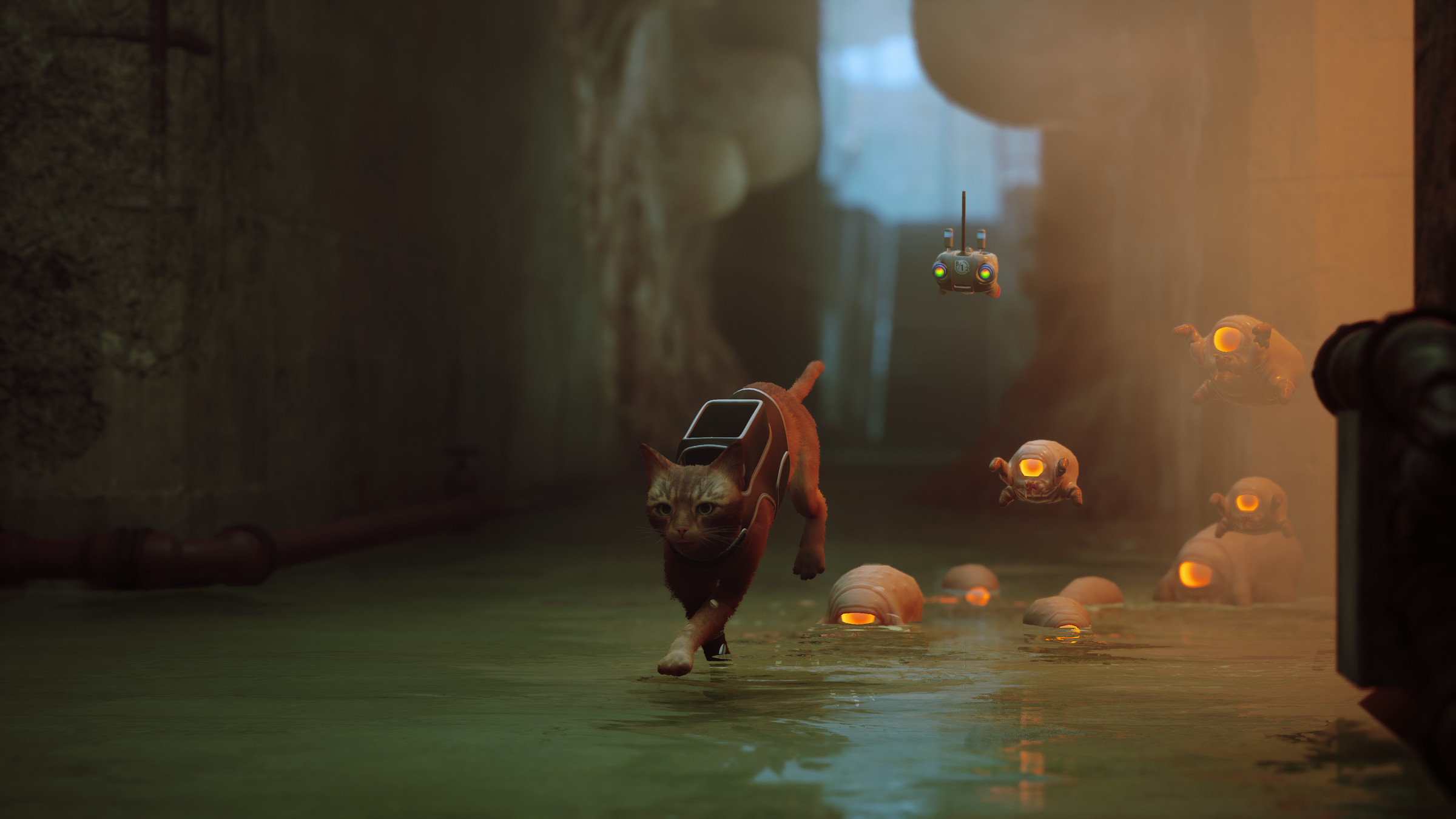 In the game Stray, a cat runs away from one-eyed aliens in a water cave.