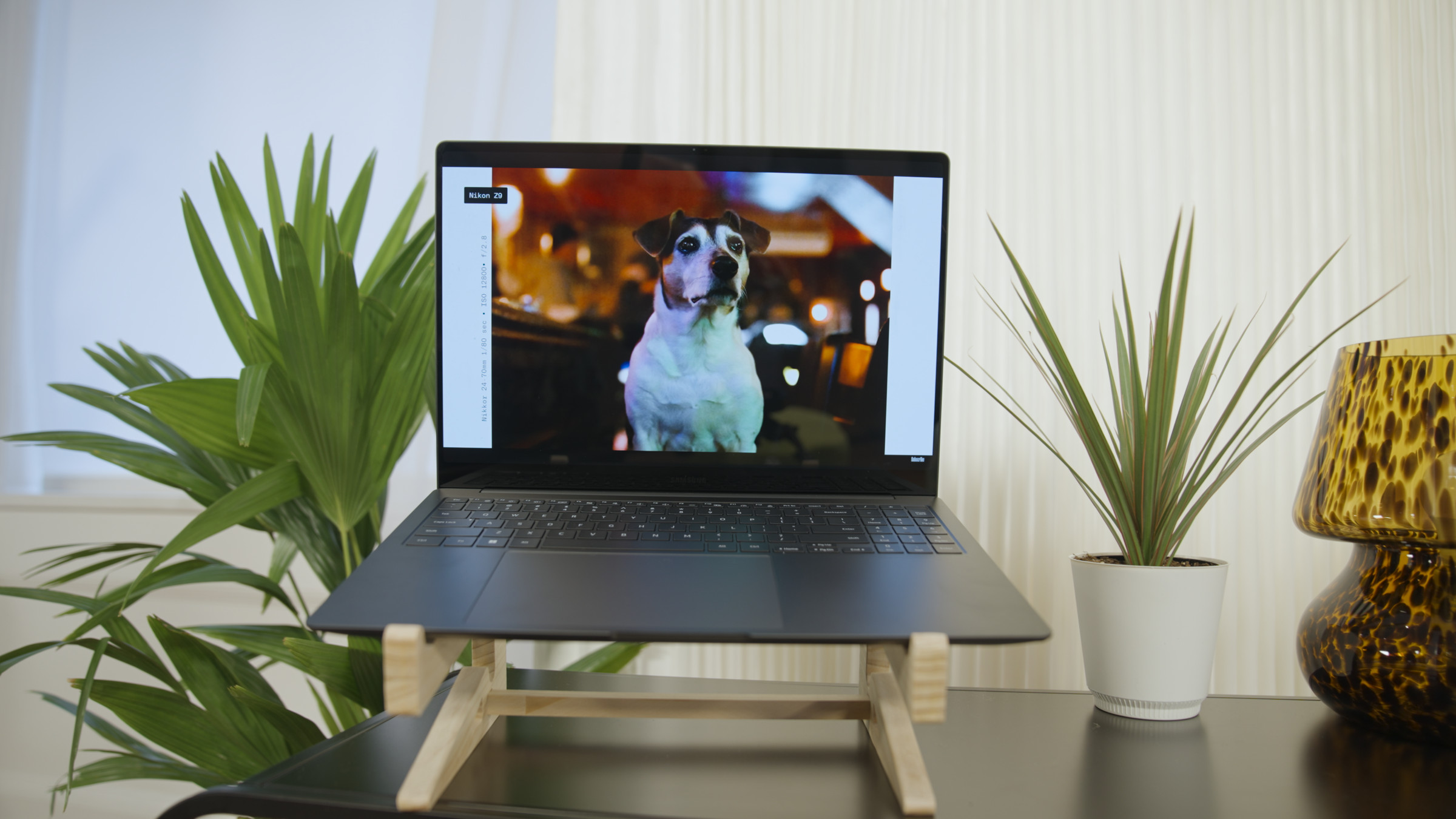 The Samsung Galaxy Book3 Ultra seen from the front with houseplants on either side. The screen displays a picture of a dog.