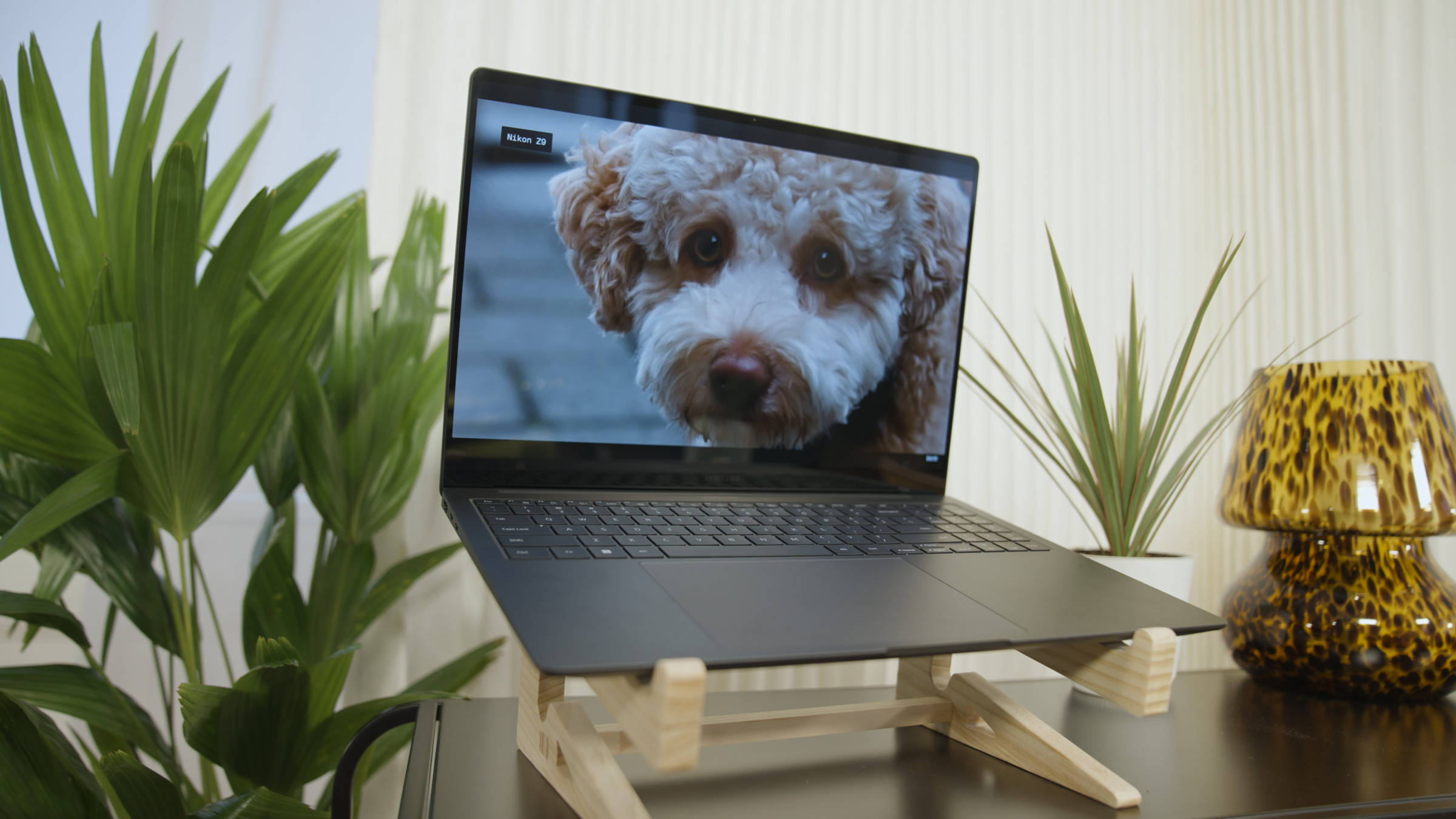 The Samsung Galaxy Book3 Ultra with a houseplant on either side. The screen displays a picture of a dog’s face.